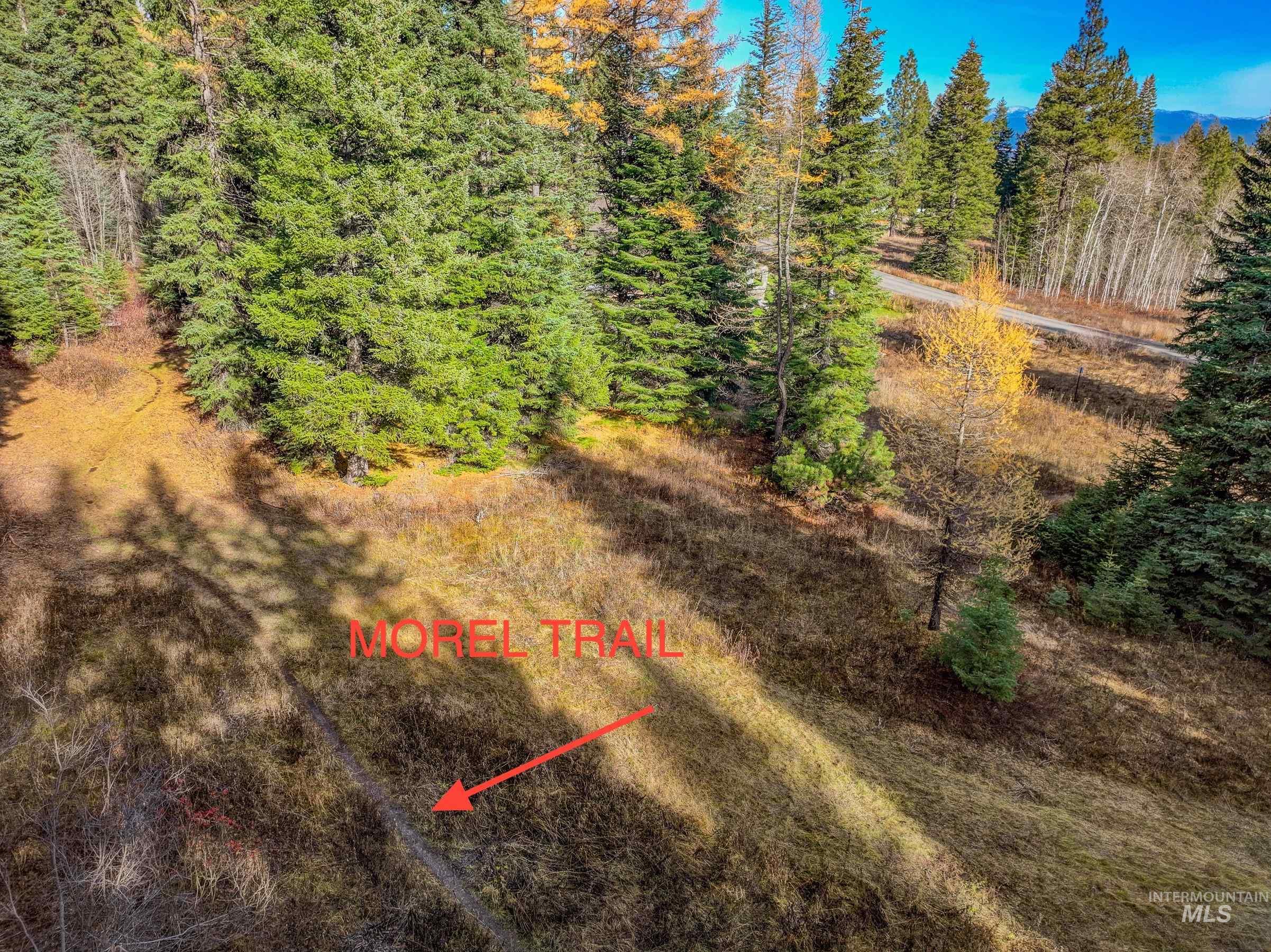 141 Sugarloaf, Donnelly, Idaho 83615, Land For Sale, Price $839,000,MLS 98968741