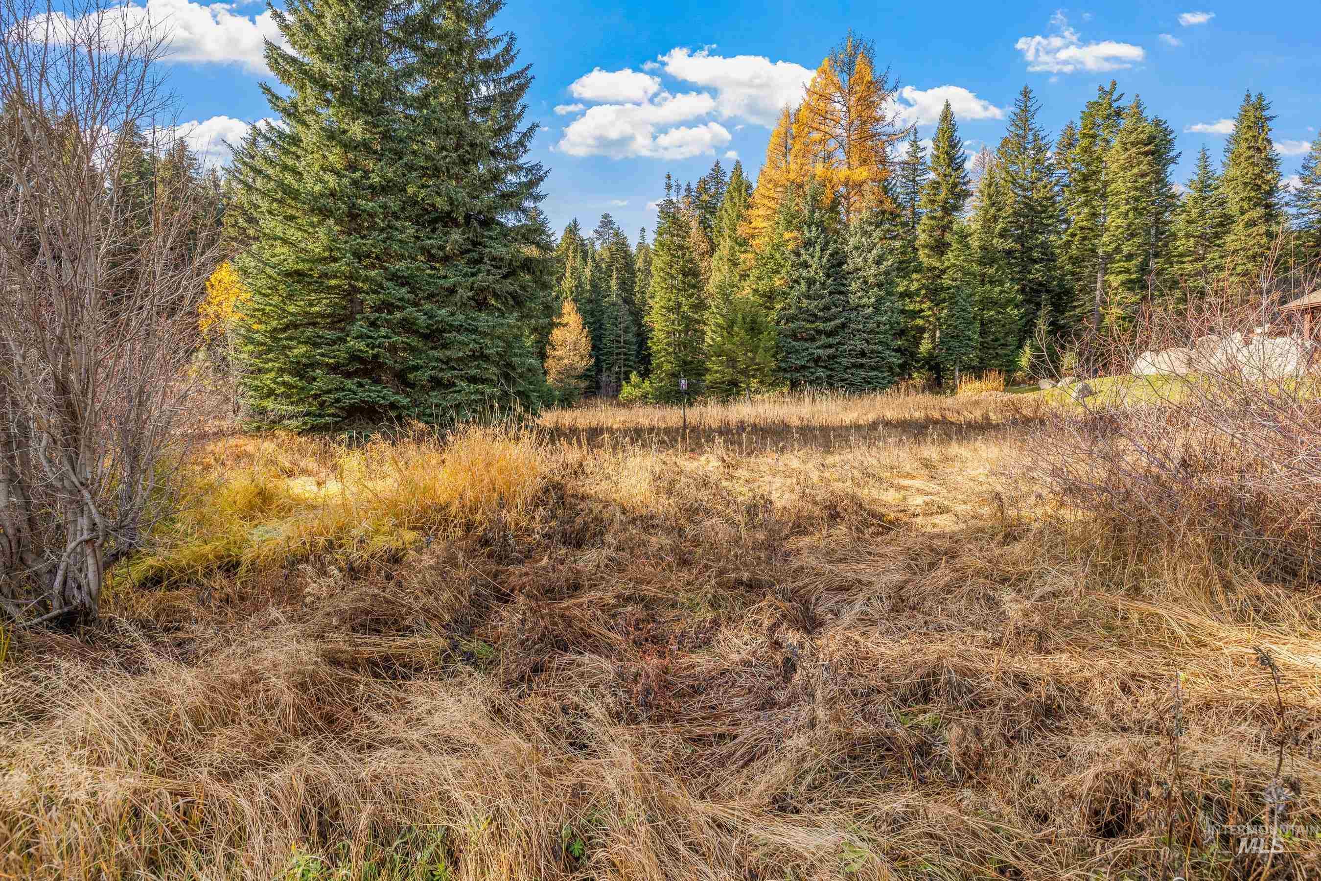 141 Sugarloaf, Donnelly, Idaho 83615, Land For Sale, Price $839,000,MLS 98968741