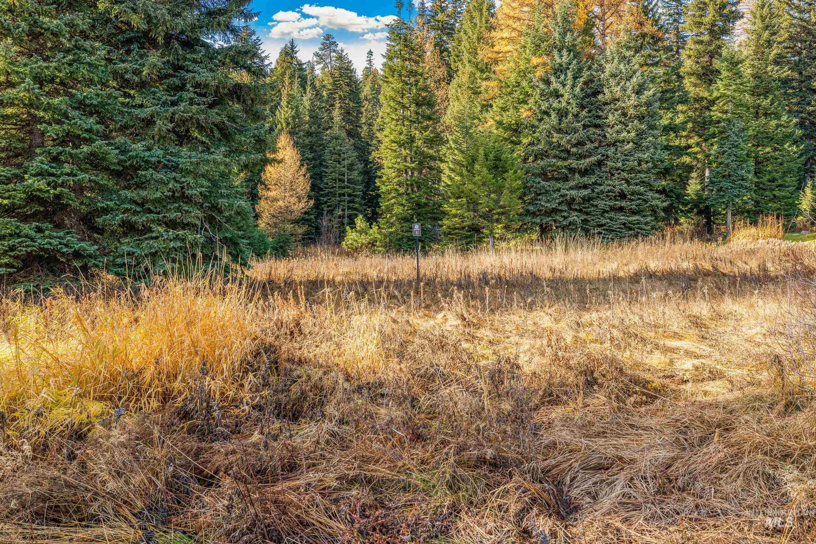 141 Sugarloaf, Donnelly, Idaho 83615, Land For Sale, Price $839,000,MLS 98968741
