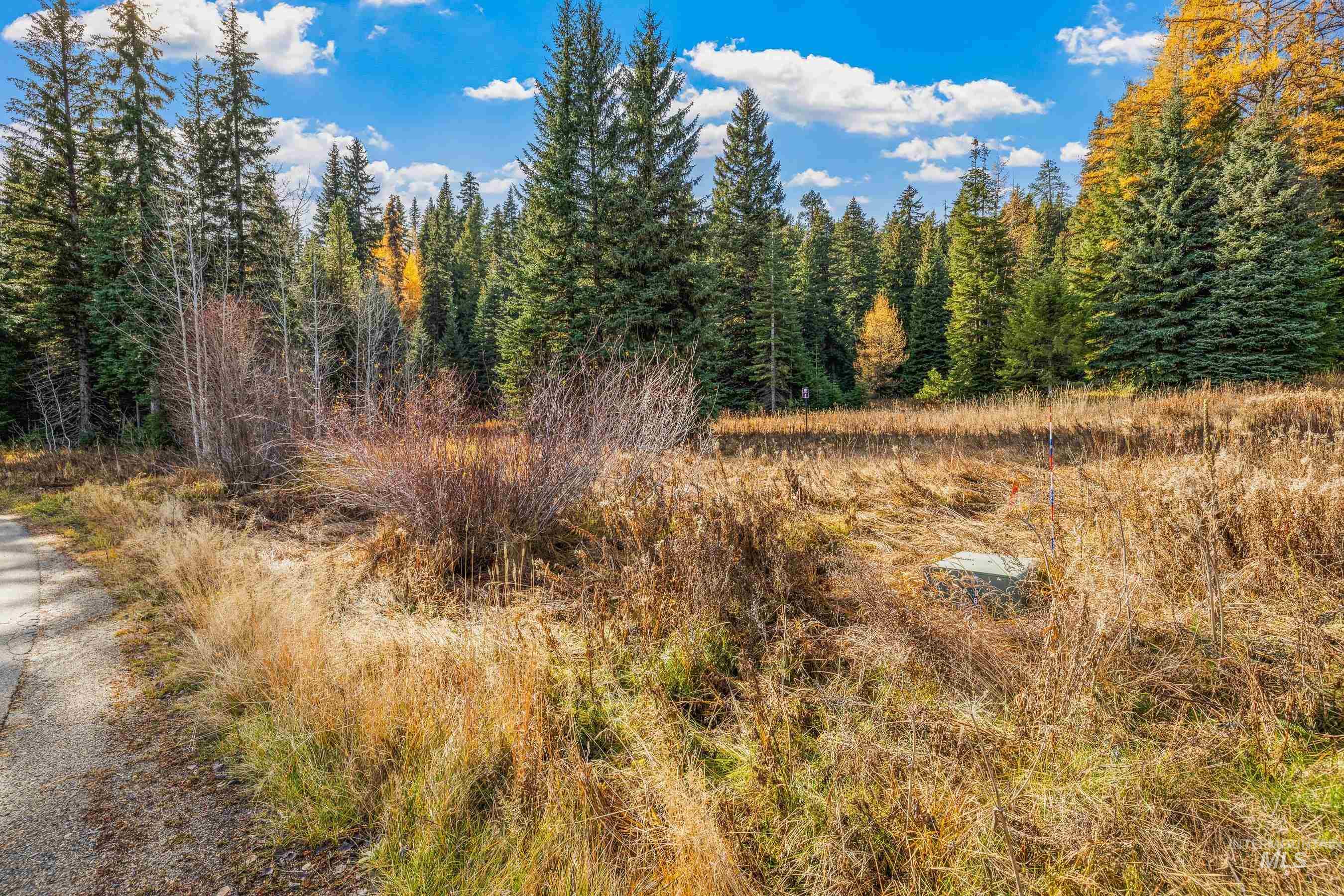 141 Sugarloaf, Donnelly, Idaho 83615, Land For Sale, Price $839,000,MLS 98968741