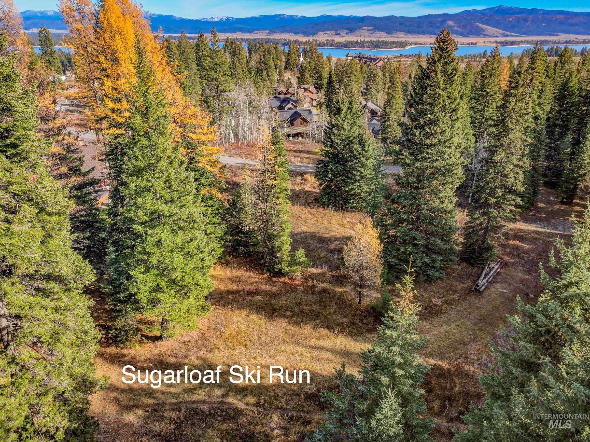 141 Sugarloaf, Donnelly, Idaho 83615, Land For Sale, Price $839,000,MLS 98968741