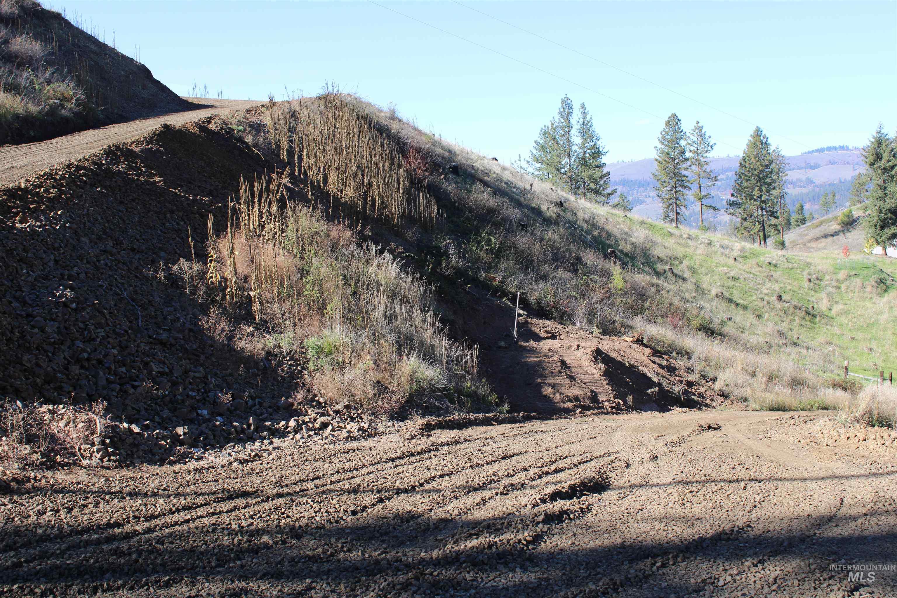 130 Meadow Lane, Kamiah, Idaho 83536, Land For Sale, Price $169,000,MLS 98968759