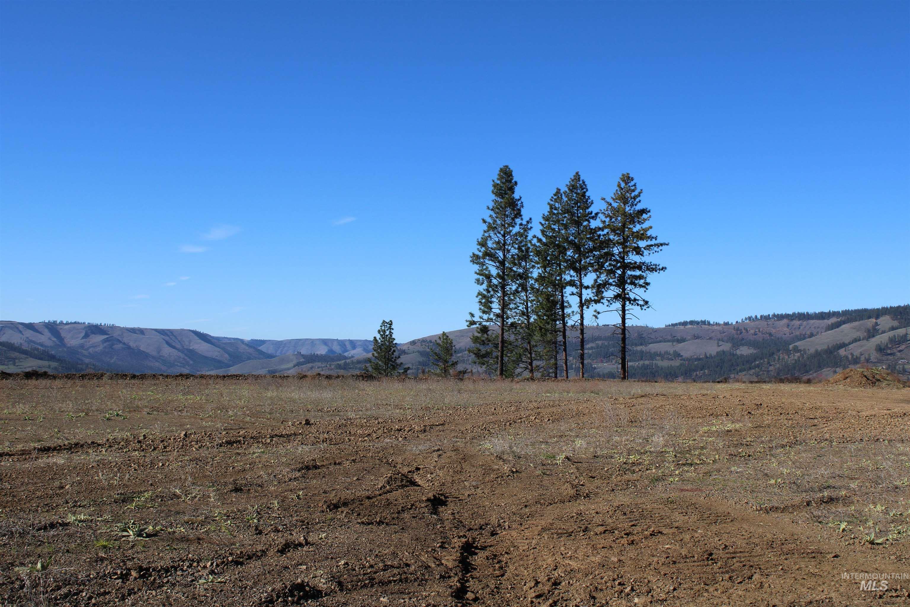 130 Meadow Lane, Kamiah, Idaho 83536, Land For Sale, Price $169,000,MLS 98968759