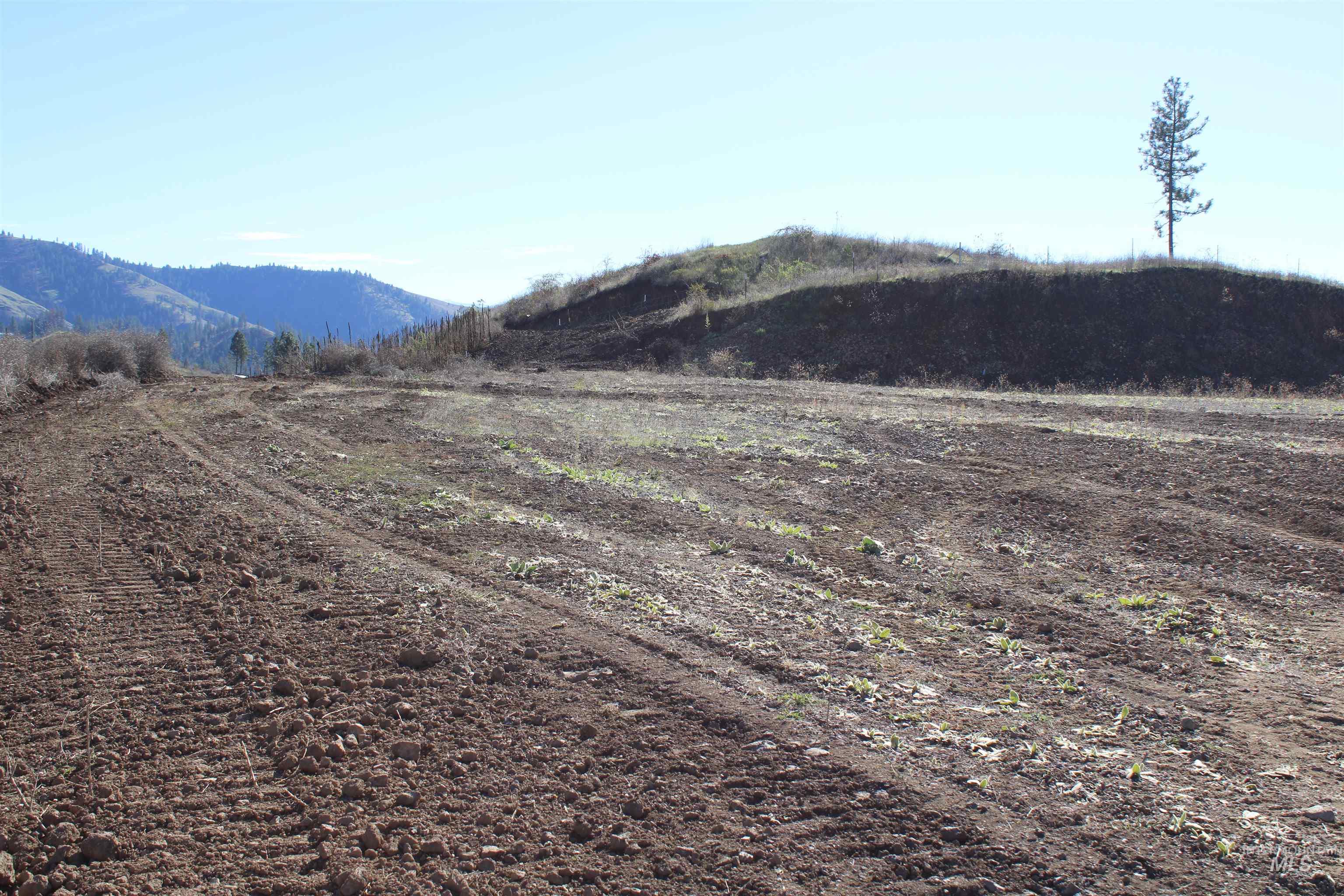 130 Meadow Lane, Kamiah, Idaho 83536, Land For Sale, Price $169,000,MLS 98968759