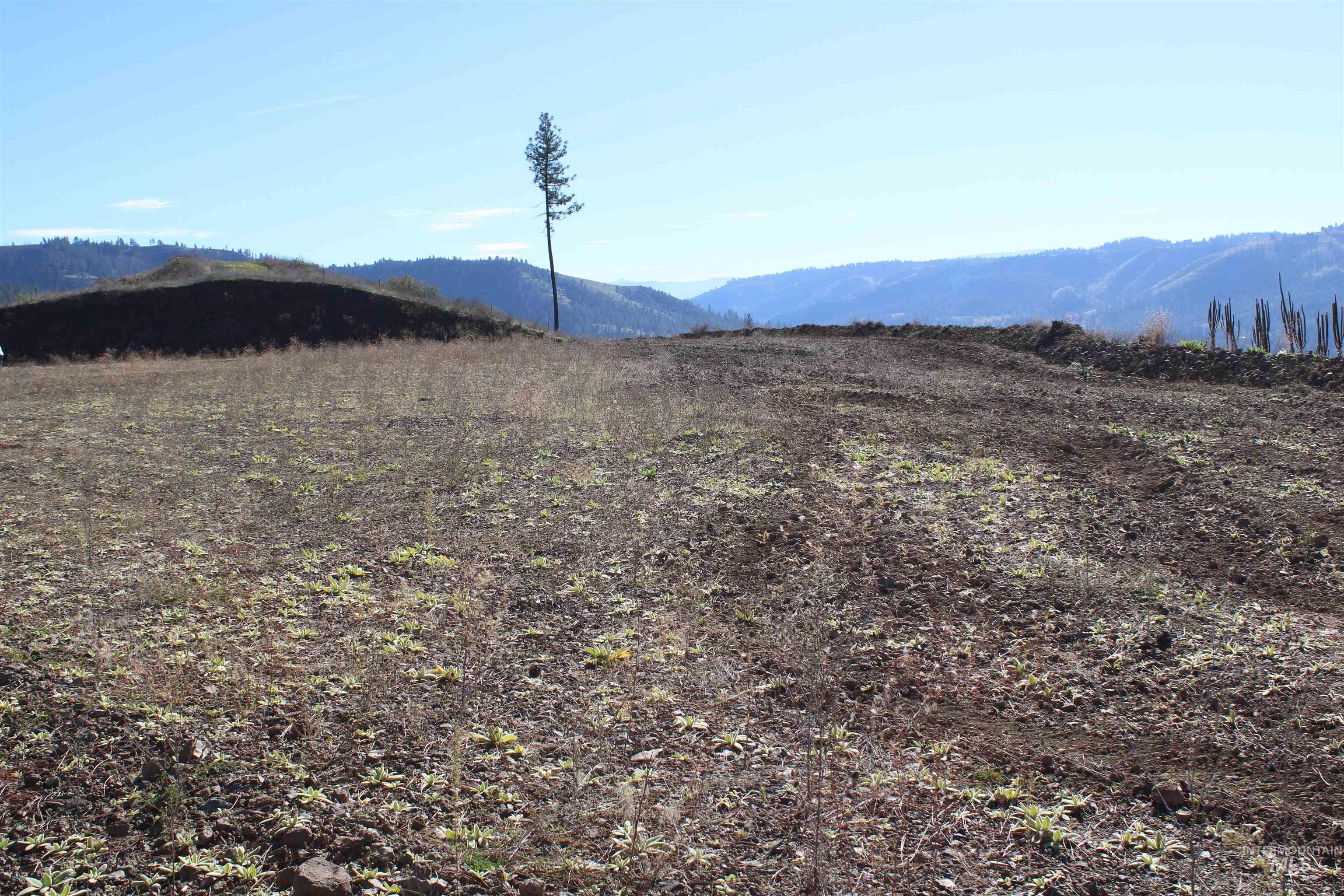 130 Meadow Lane, Kamiah, Idaho 83536, Land For Sale, Price $169,000,MLS 98968759