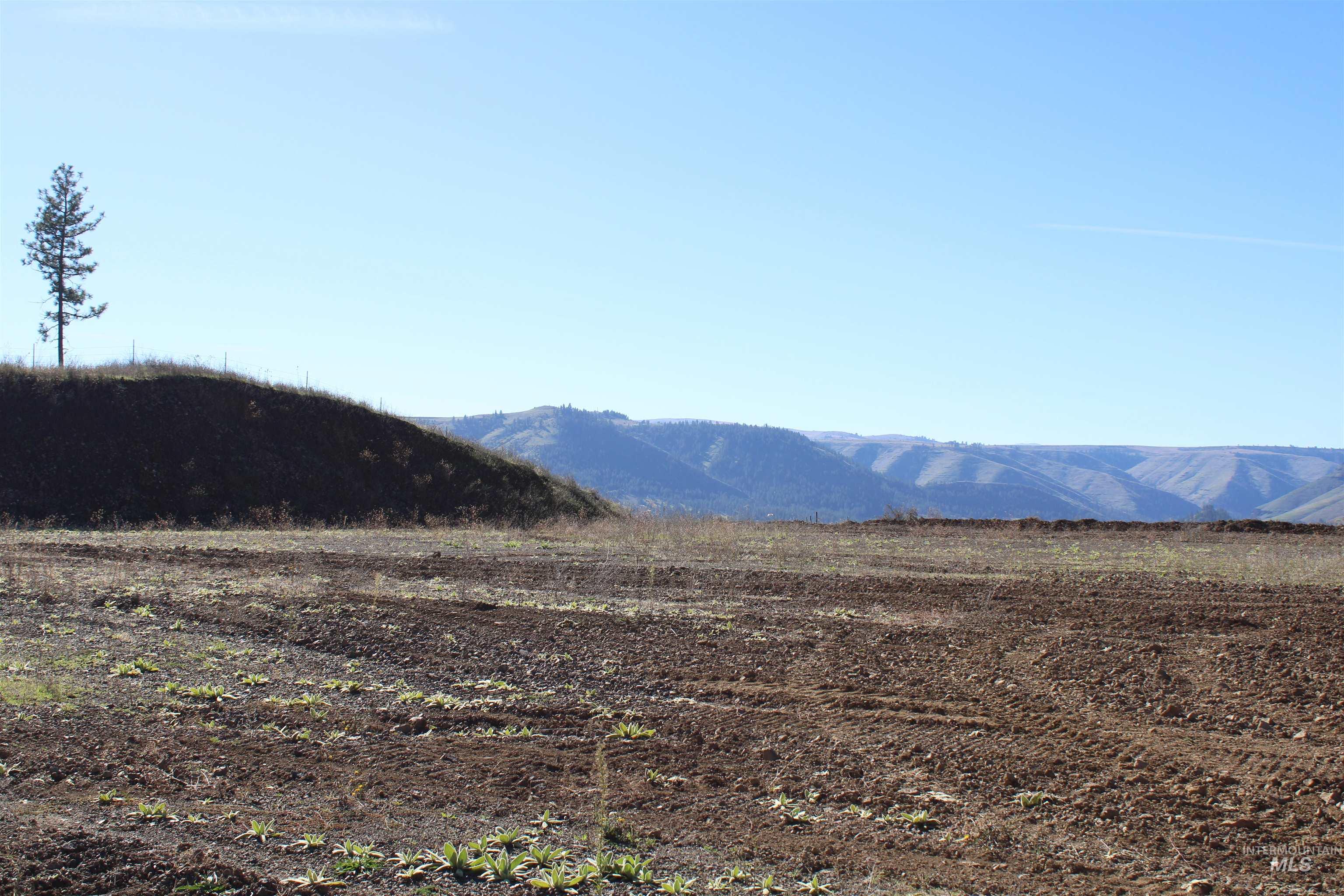 130 Meadow Lane, Kamiah, Idaho 83536, Land For Sale, Price $169,000,MLS 98968759