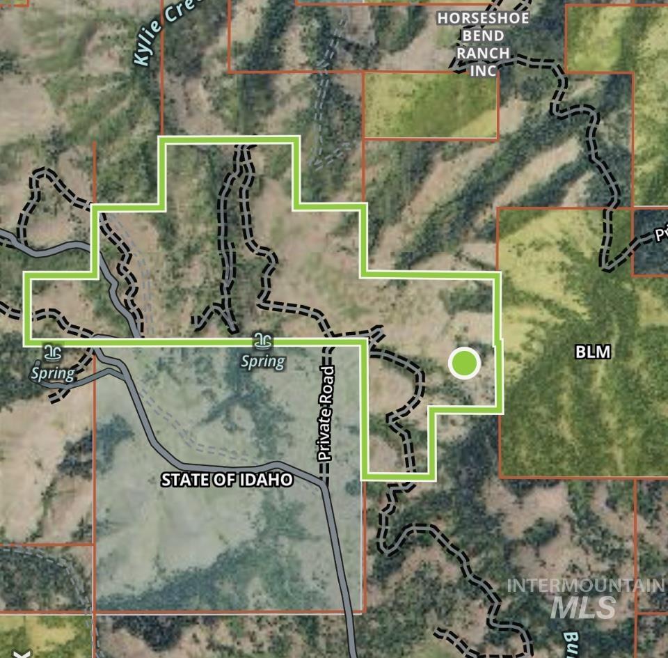 TBD Billy Creek Rd., CottonWood, Idaho 83522, Land For Sale, Price $1,280,000,MLS 98968827