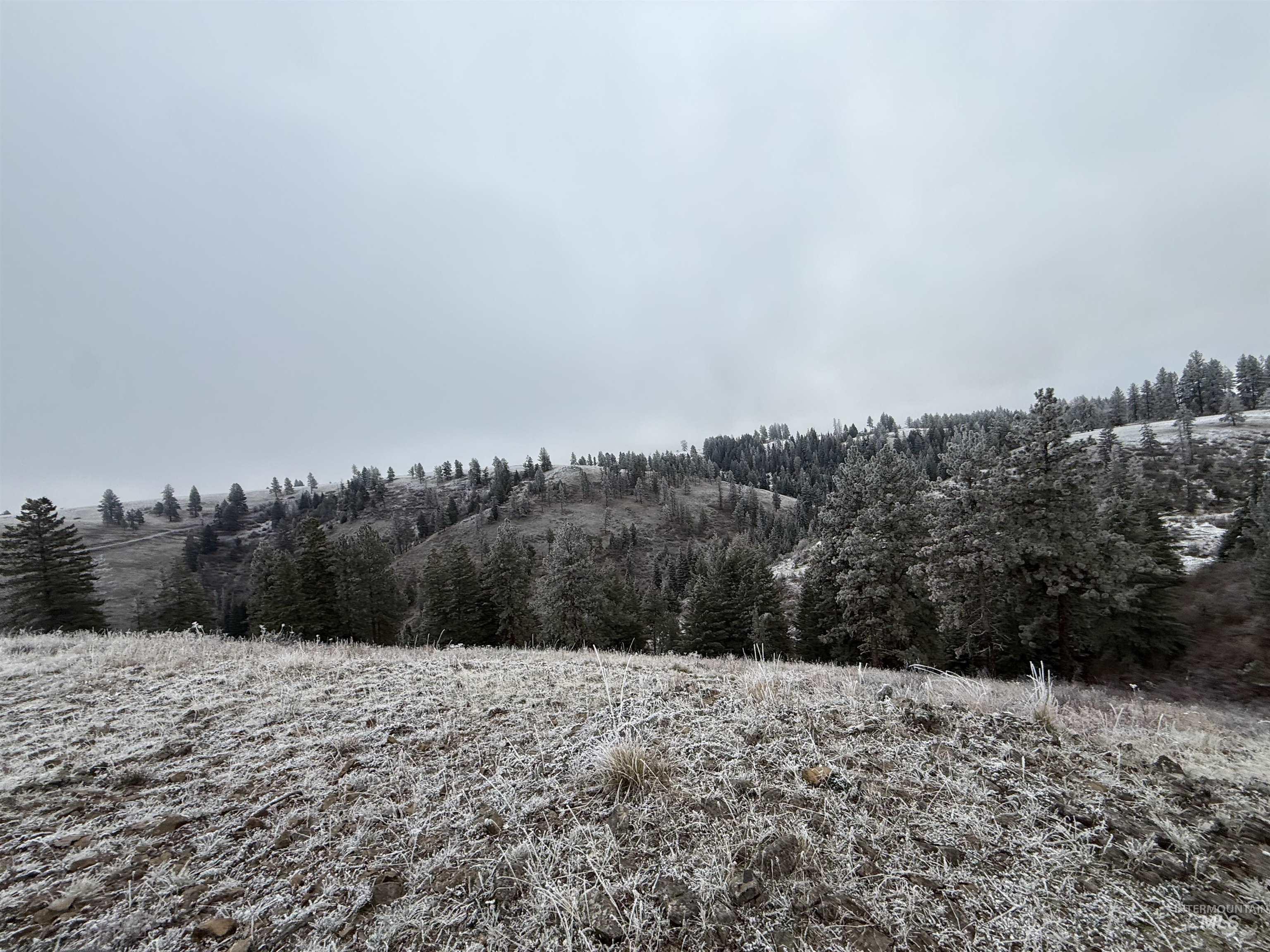 TBD Billy Creek Rd., CottonWood, Idaho 83522, Land For Sale, Price $1,280,000,MLS 98968827