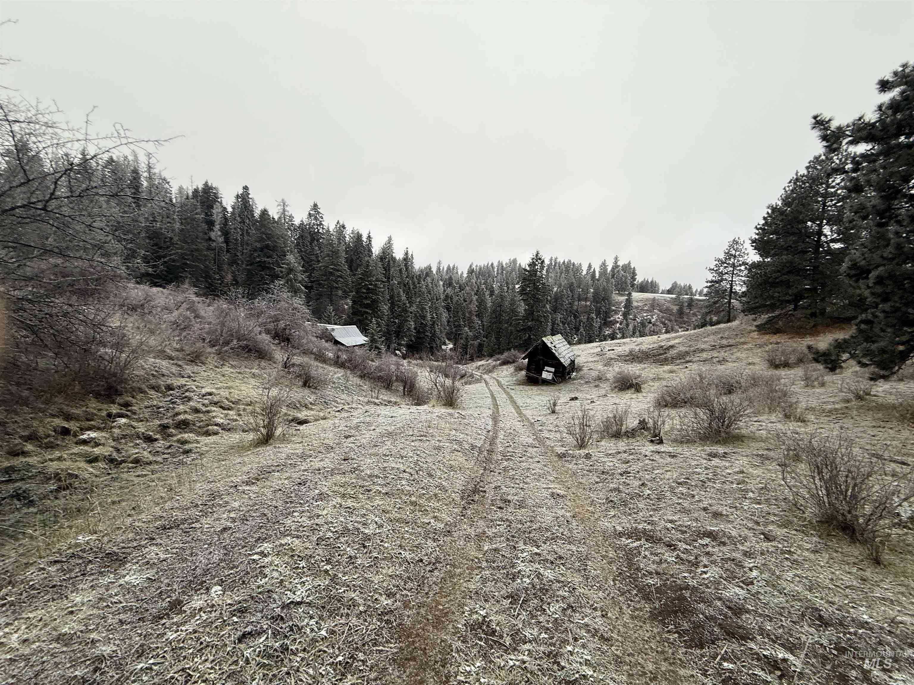 TBD Billy Creek Rd., CottonWood, Idaho 83522, Land For Sale, Price $1,280,000,MLS 98968827