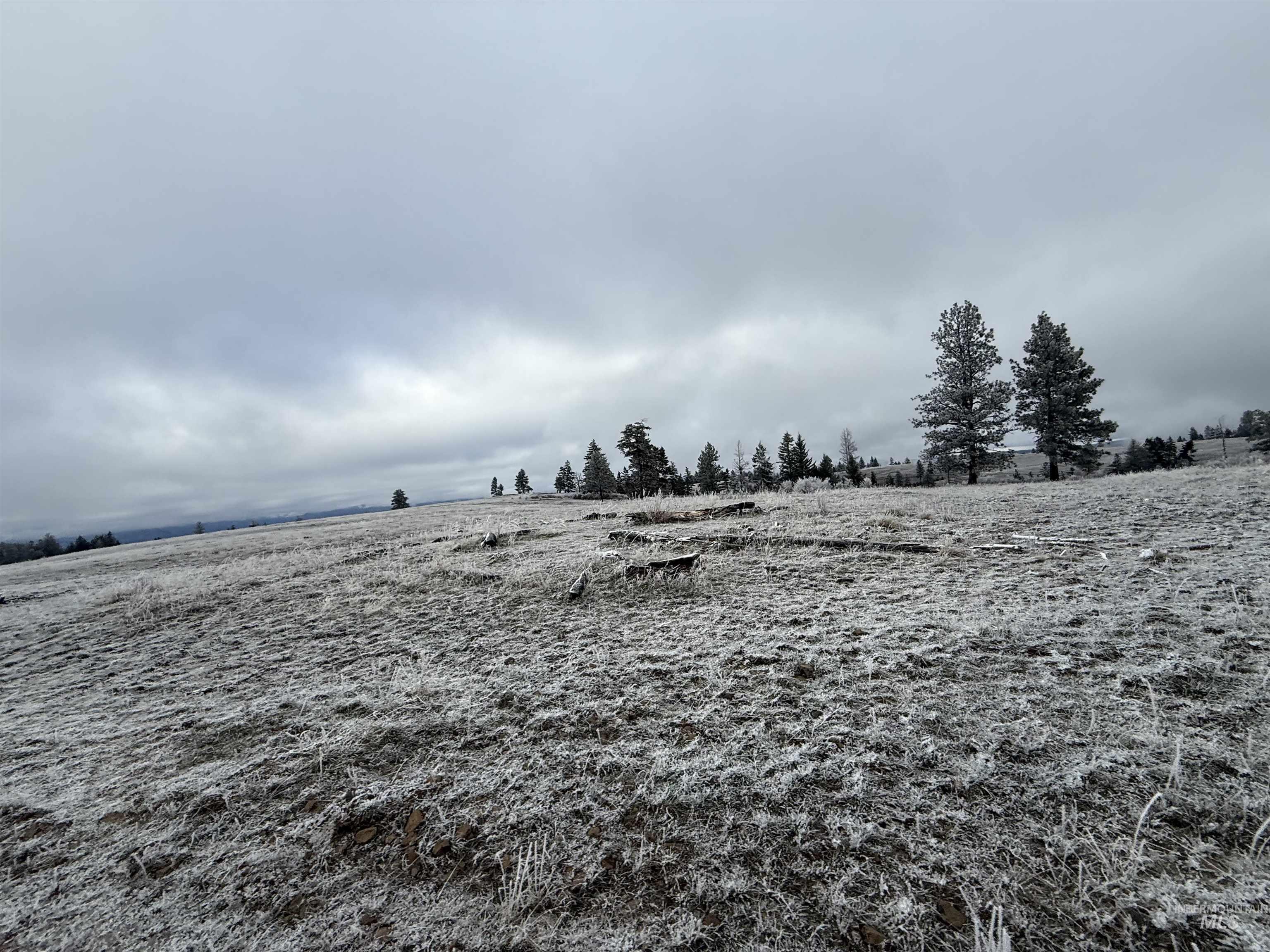 TBD Billy Creek Rd., CottonWood, Idaho 83522, Land For Sale, Price $1,280,000,MLS 98968827