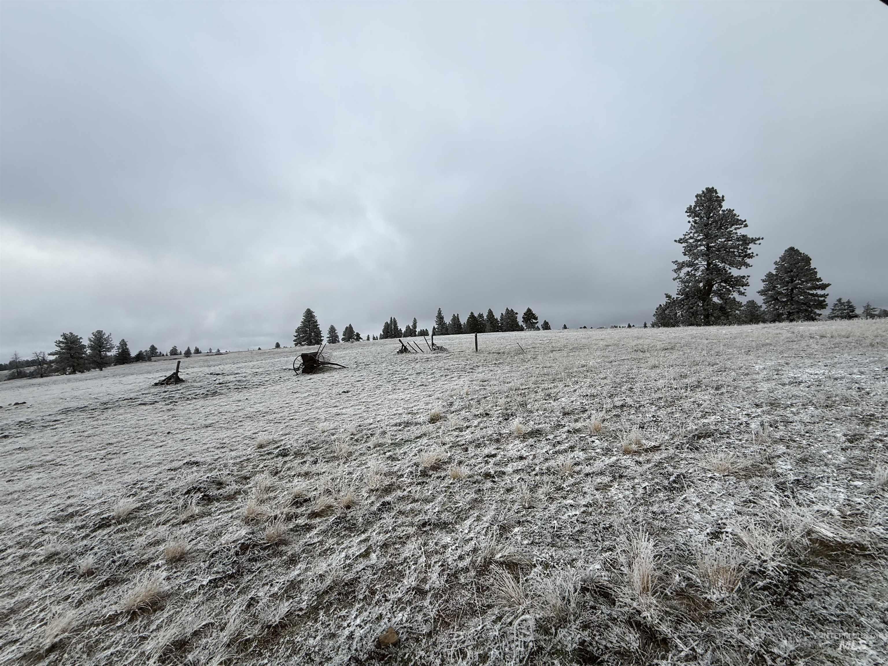 TBD Billy Creek Rd., CottonWood, Idaho 83522, Land For Sale, Price $1,280,000,MLS 98968827