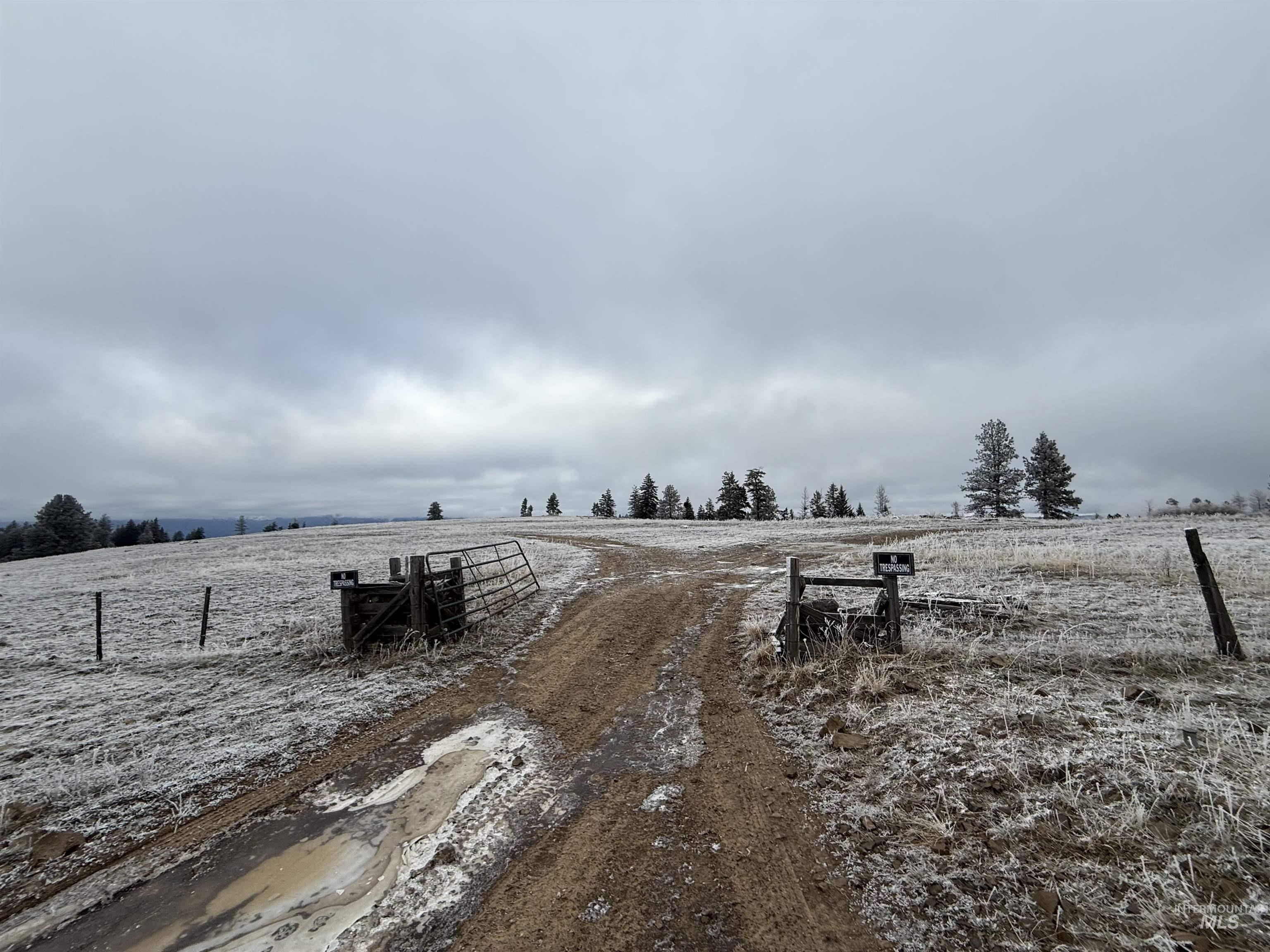 TBD Billy Creek Rd., CottonWood, Idaho 83522, Land For Sale, Price $1,280,000,MLS 98968827