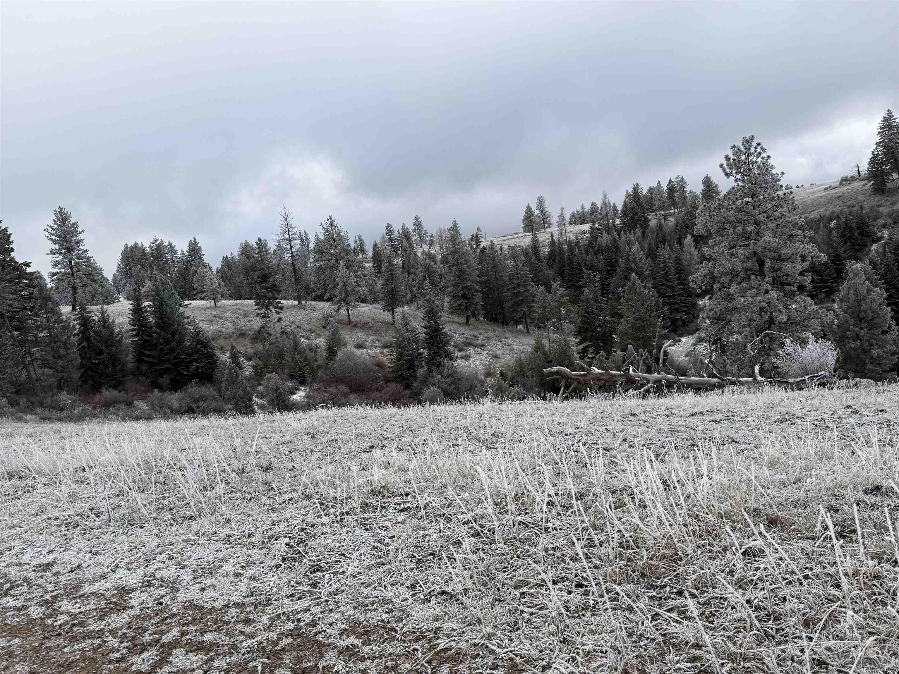 TBD Billy Creek Rd., CottonWood, Idaho 83522, Land For Sale, Price $1,280,000,MLS 98968827