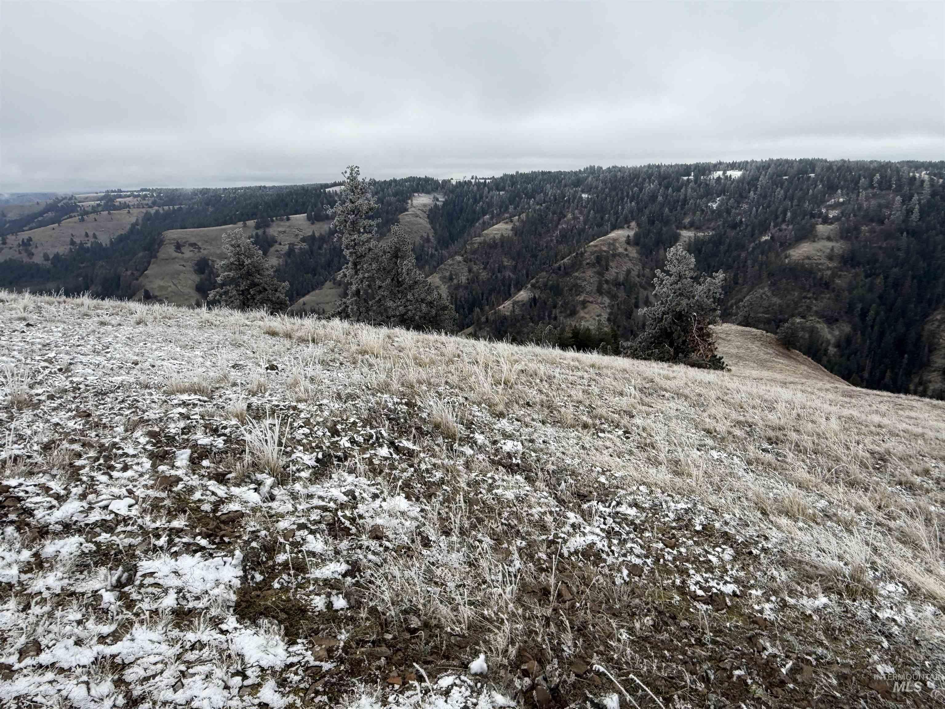 TBD Billy Creek Rd., CottonWood, Idaho 83522, Land For Sale, Price $1,280,000,MLS 98968827