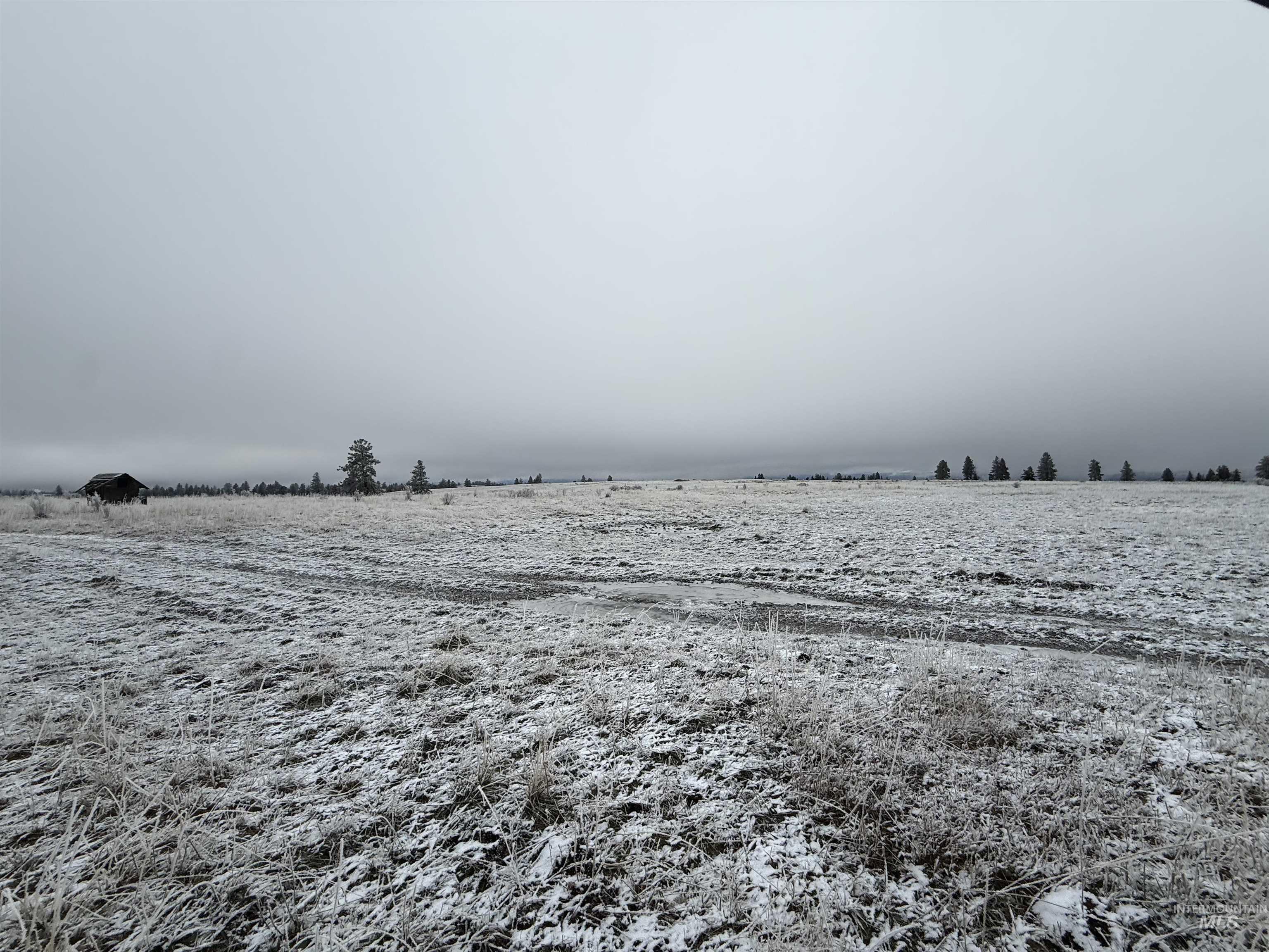 TBD Billy Creek Rd., CottonWood, Idaho 83522, Land For Sale, Price $1,280,000,MLS 98968827