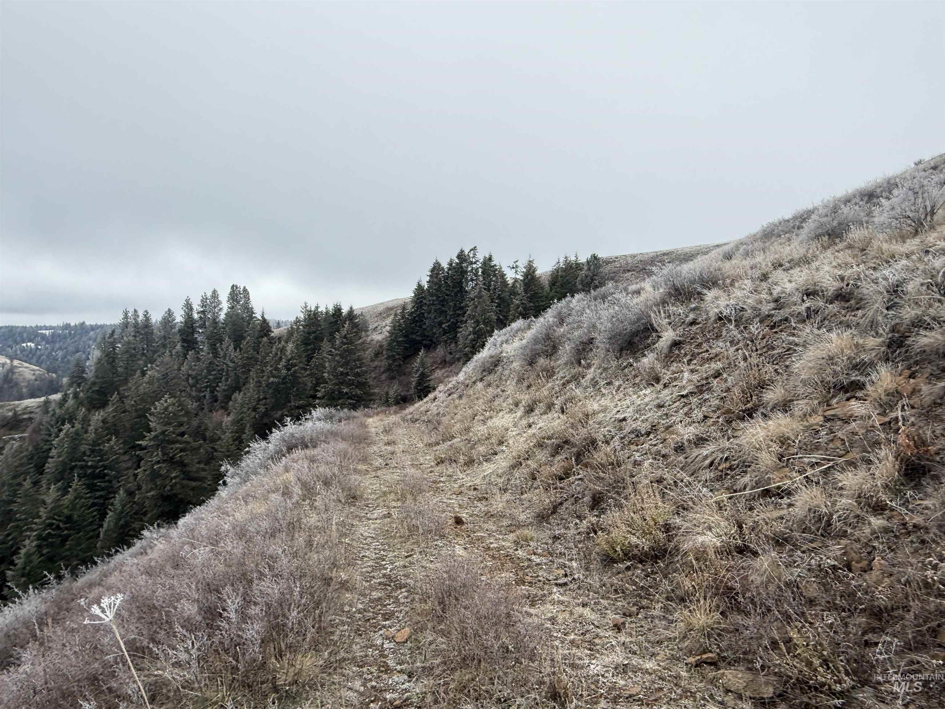 TBD Billy Creek Rd., CottonWood, Idaho 83522, Land For Sale, Price $1,280,000,MLS 98968827