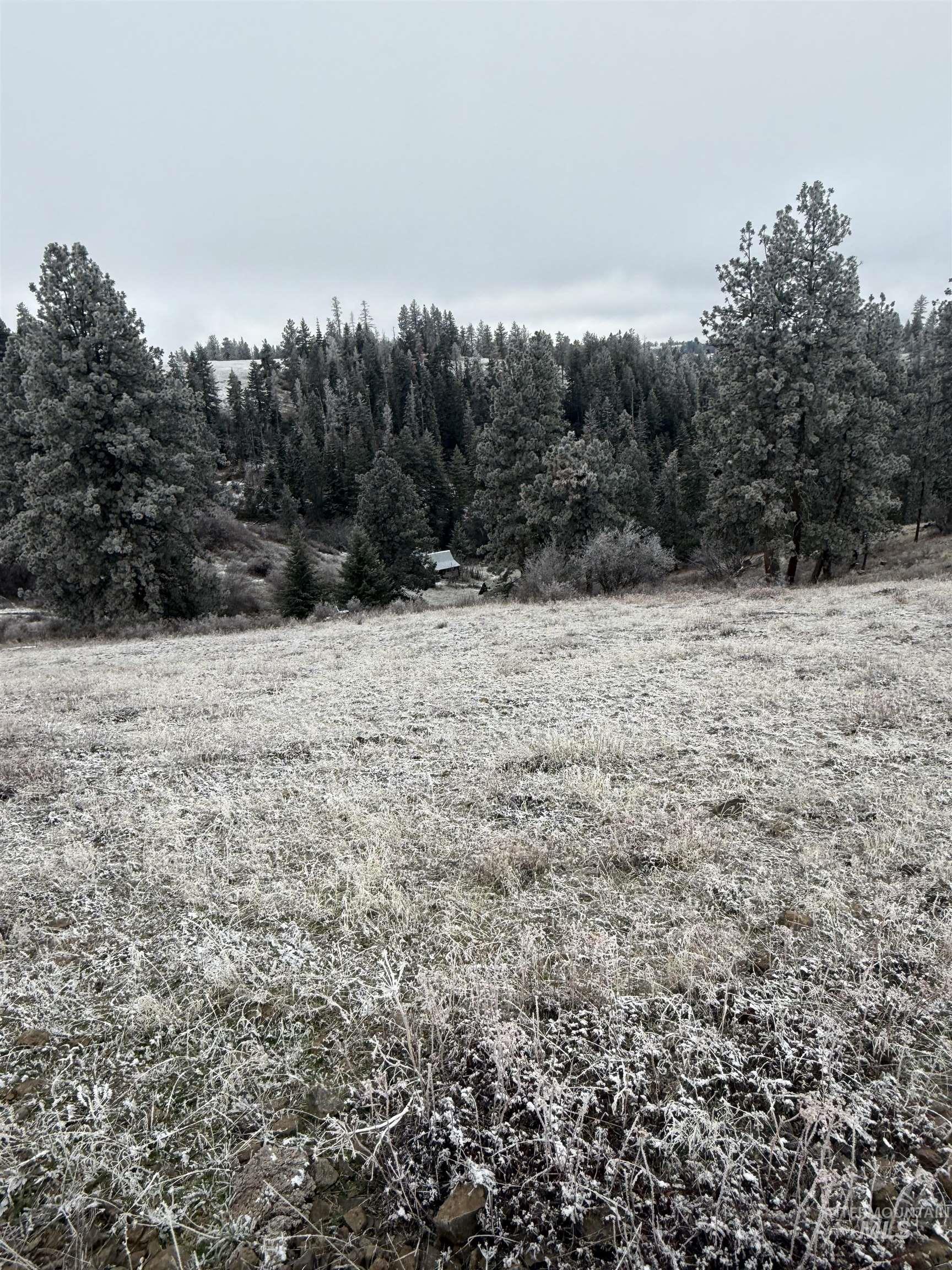 TBD Billy Creek Rd., CottonWood, Idaho 83522, Land For Sale, Price $1,280,000,MLS 98968827
