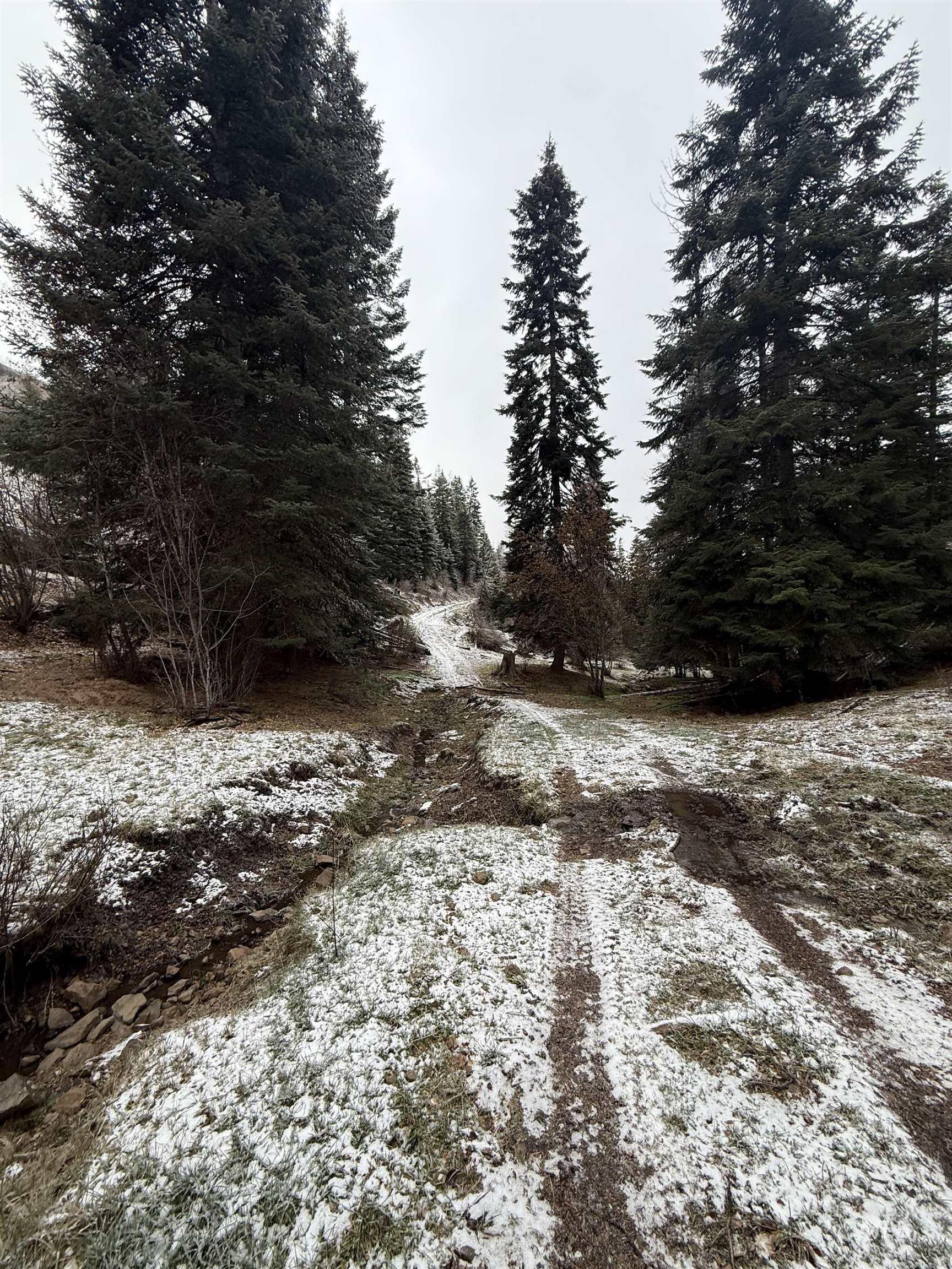 TBD Billy Creek Rd., CottonWood, Idaho 83522, Land For Sale, Price $1,280,000,MLS 98968827