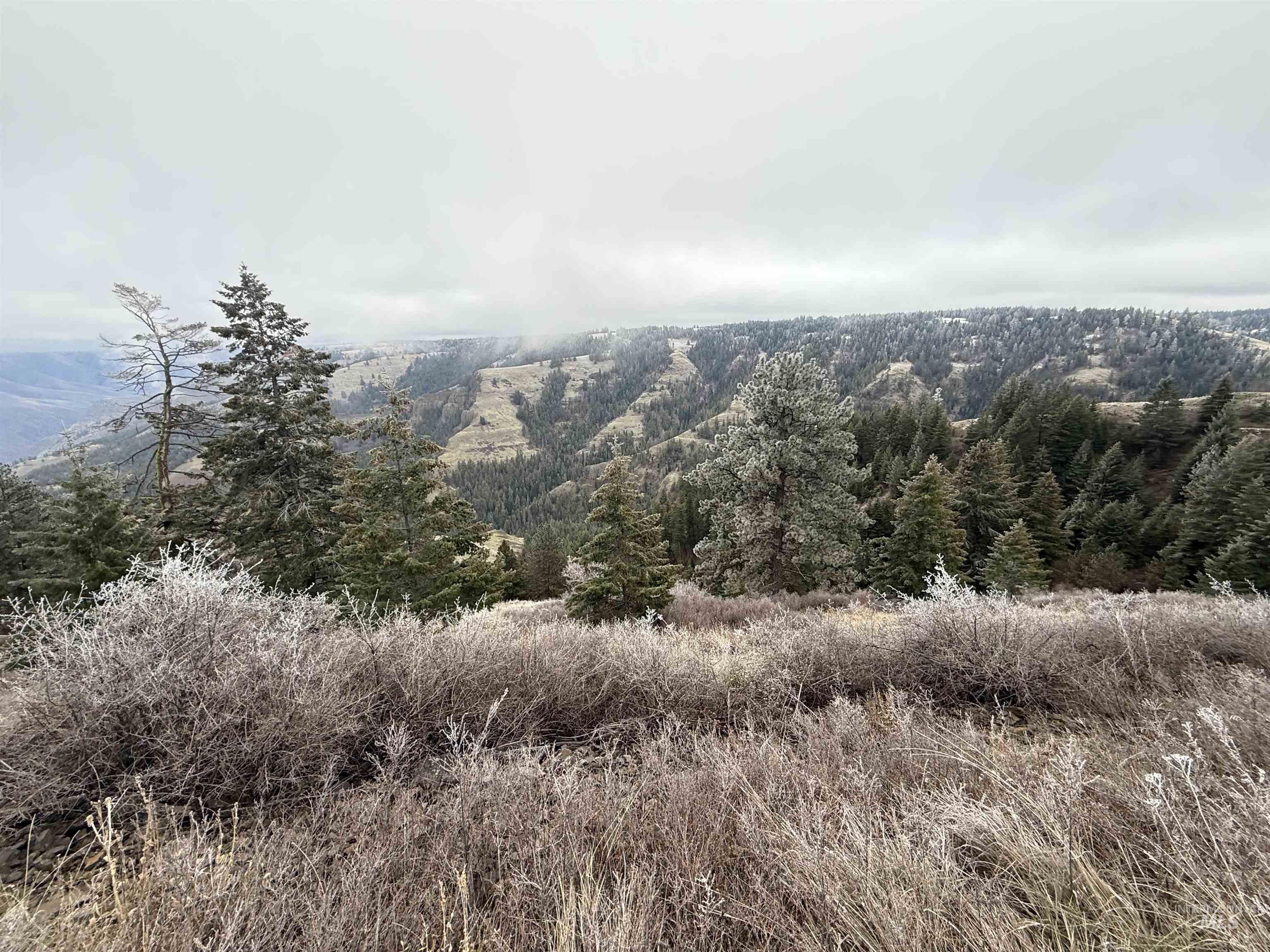 TBD Billy Creek Rd., CottonWood, Idaho 83522, Land For Sale, Price $1,280,000,MLS 98968827