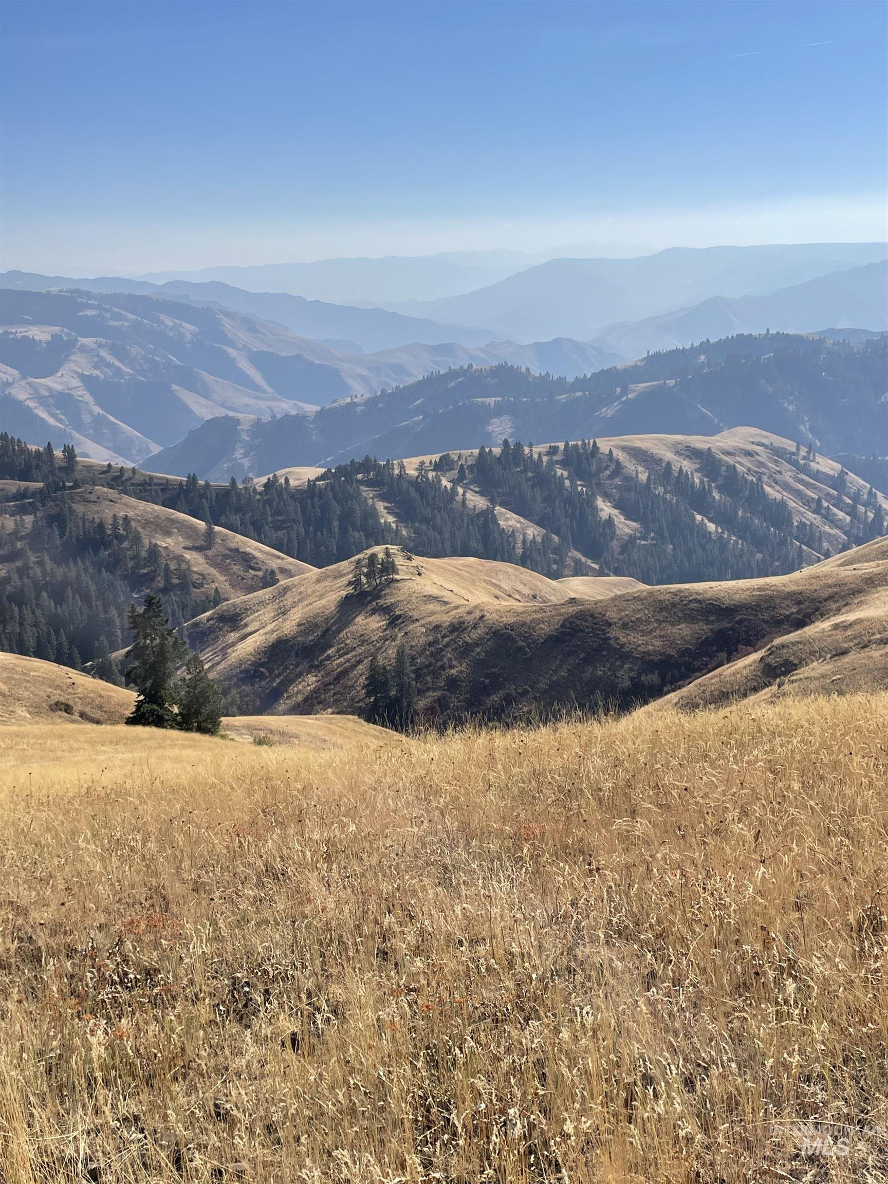 TBD Billy Creek Rd., CottonWood, Idaho 83522, Land For Sale, Price $1,280,000,MLS 98968827