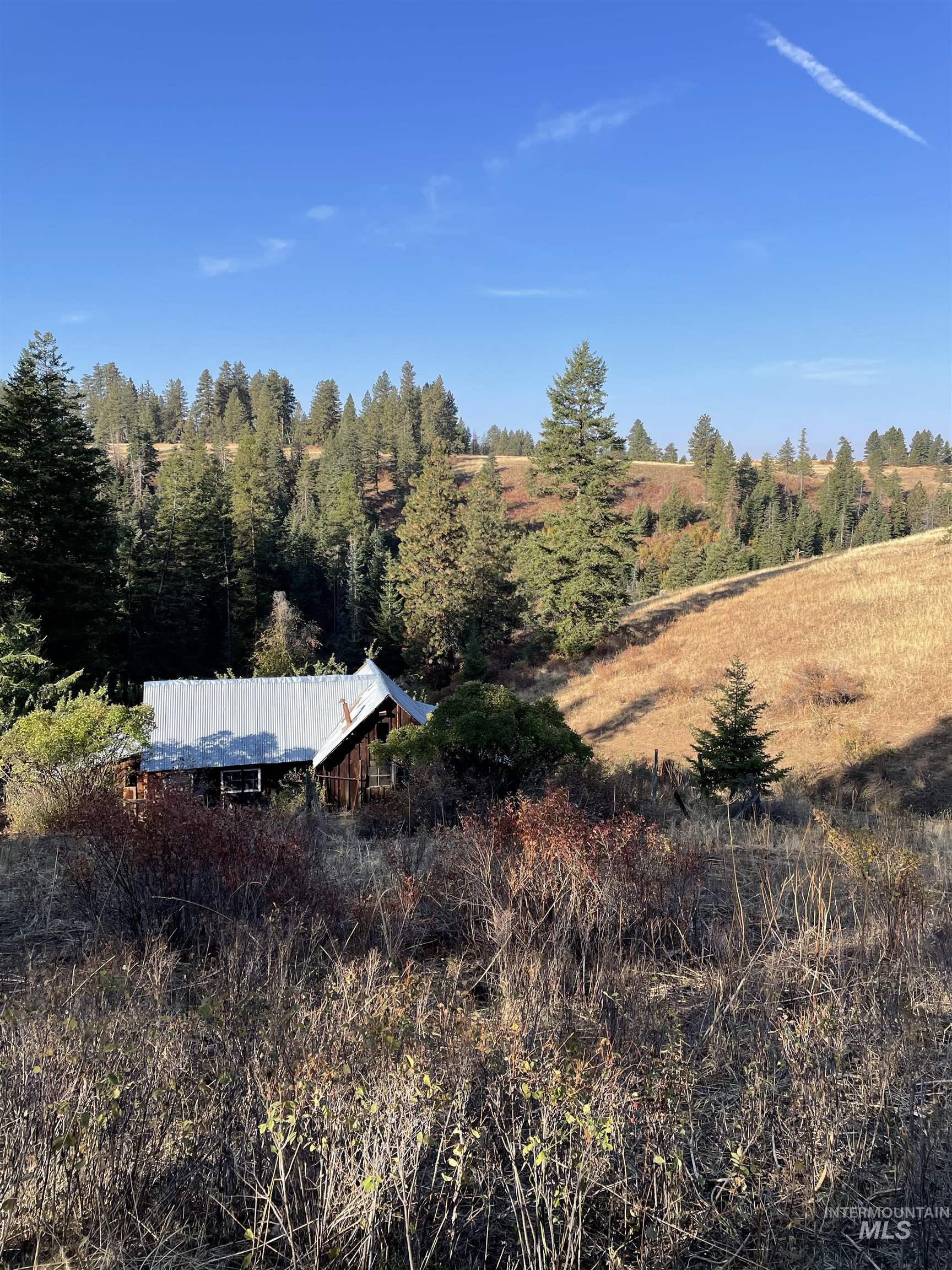 TBD Billy Creek Rd., CottonWood, Idaho 83522, Land For Sale, Price $1,280,000,MLS 98968827