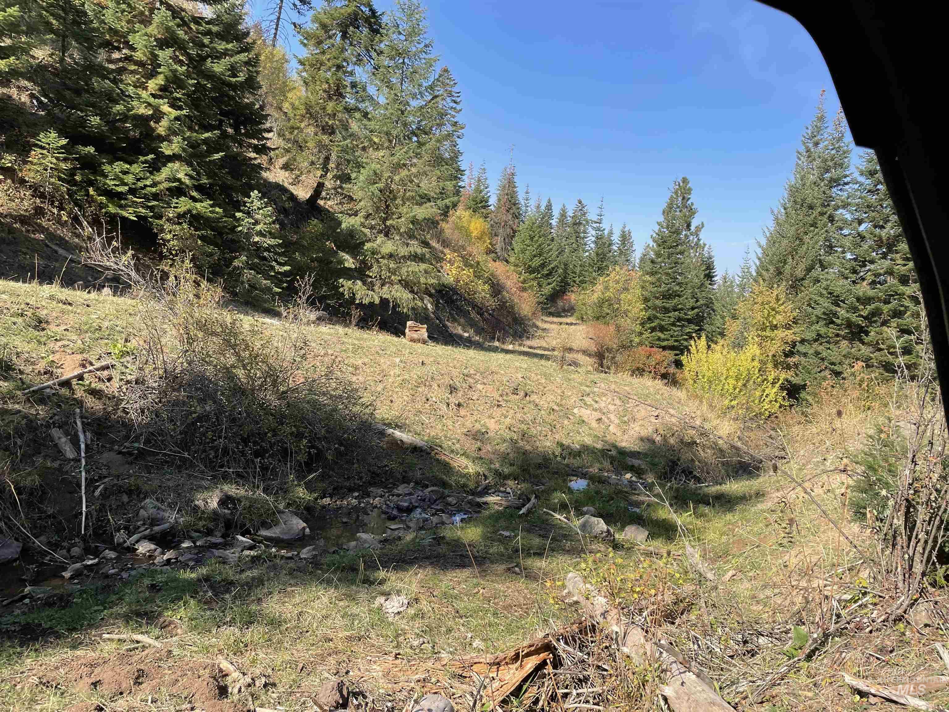 TBD Billy Creek Rd., CottonWood, Idaho 83522, Land For Sale, Price $1,280,000,MLS 98968827