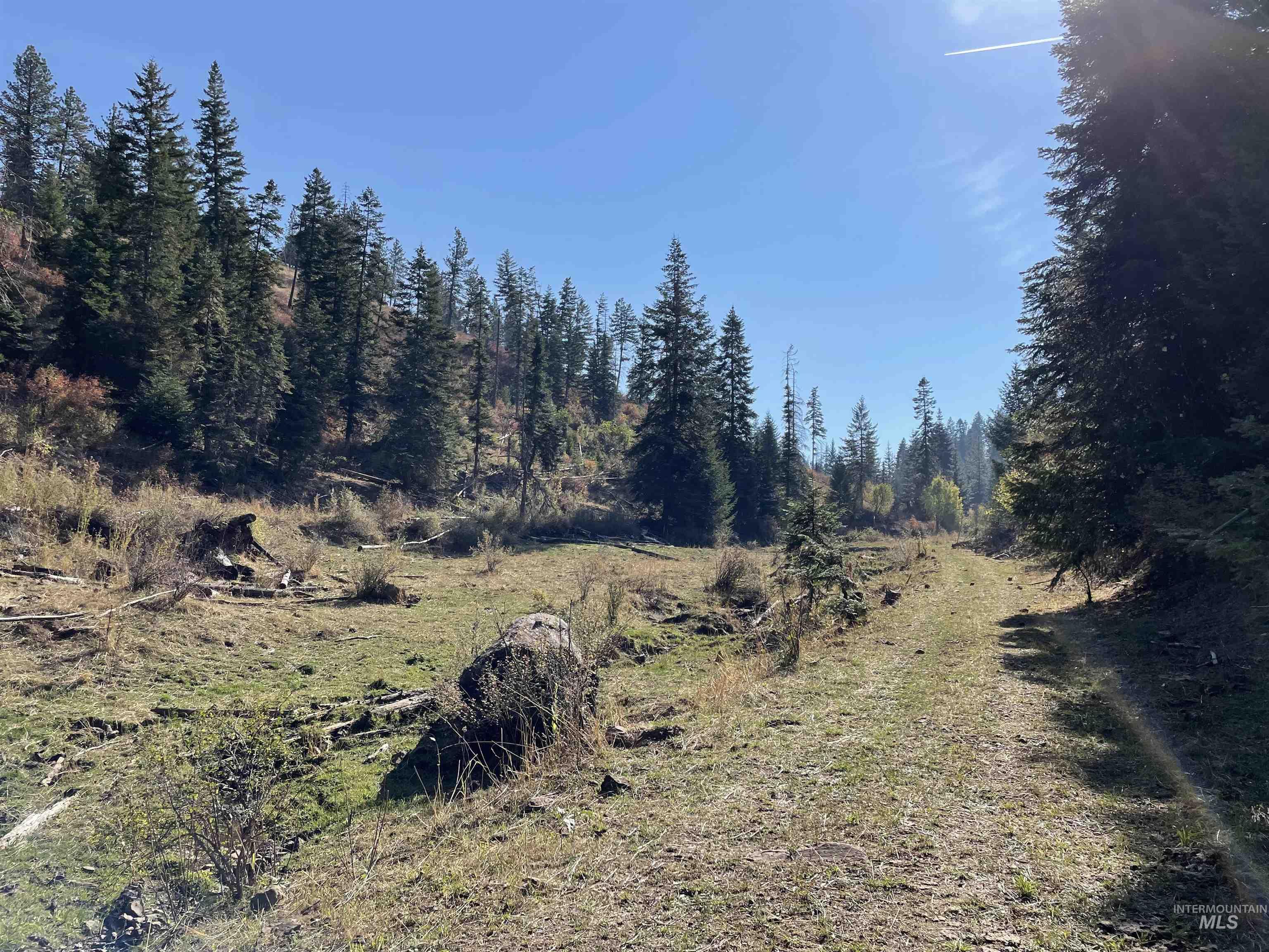 TBD Billy Creek Rd., CottonWood, Idaho 83522, Land For Sale, Price $1,280,000,MLS 98968827