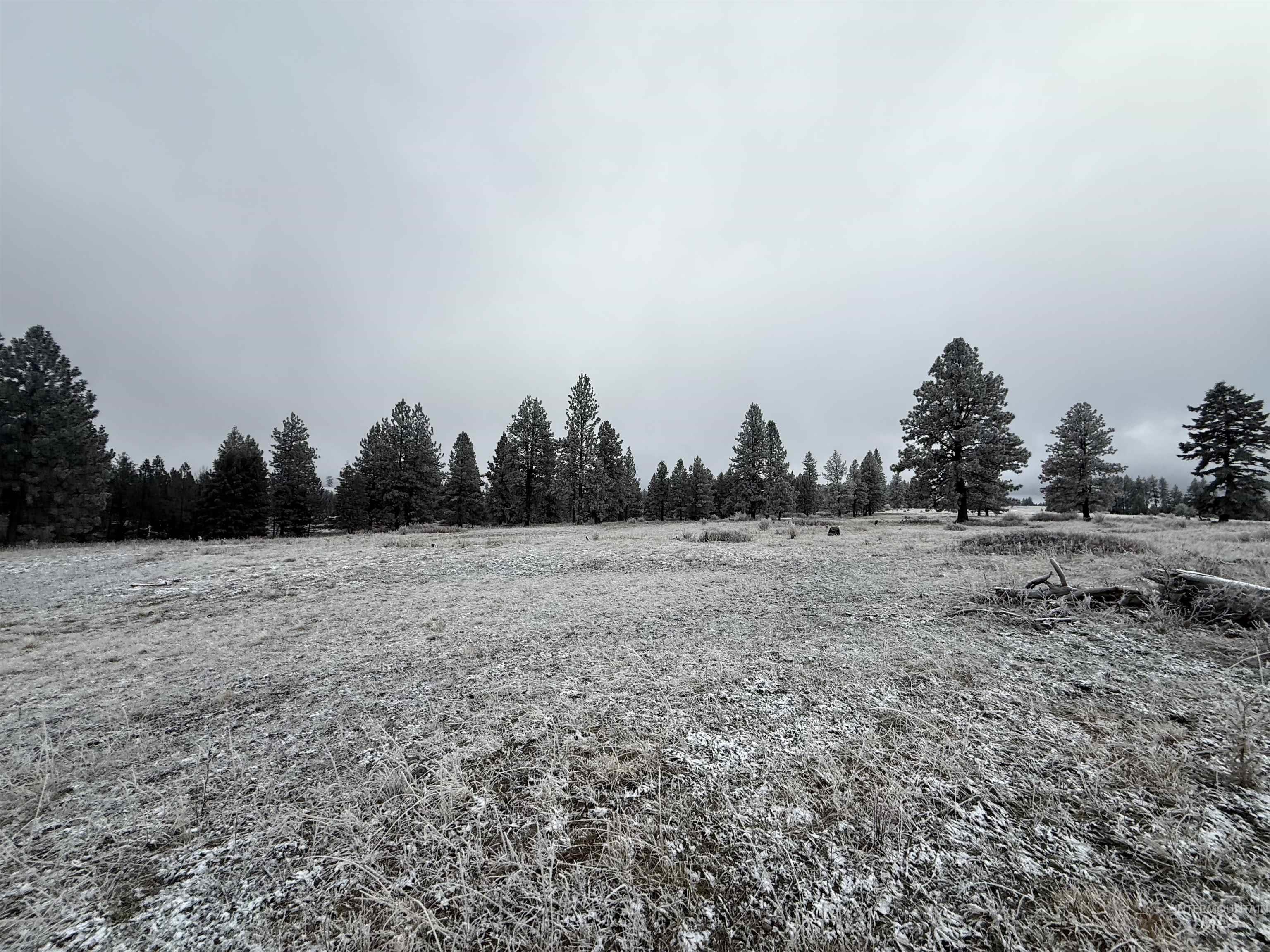 TBD Billy Creek Rd., CottonWood, Idaho 83522, Land For Sale, Price $1,280,000,MLS 98968827