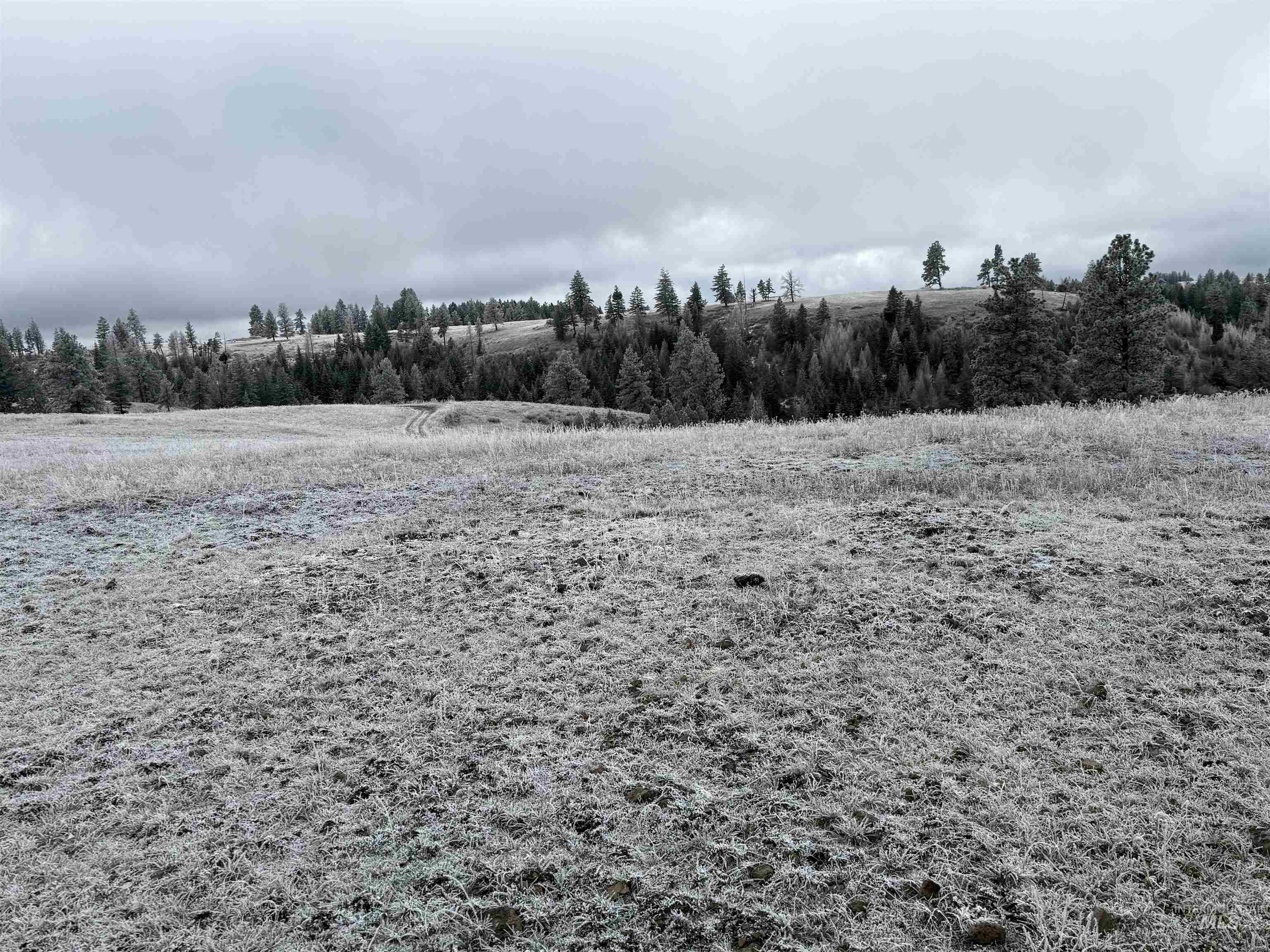 TBD Billy Creek Rd., CottonWood, Idaho 83522, Land For Sale, Price $1,280,000,MLS 98968827