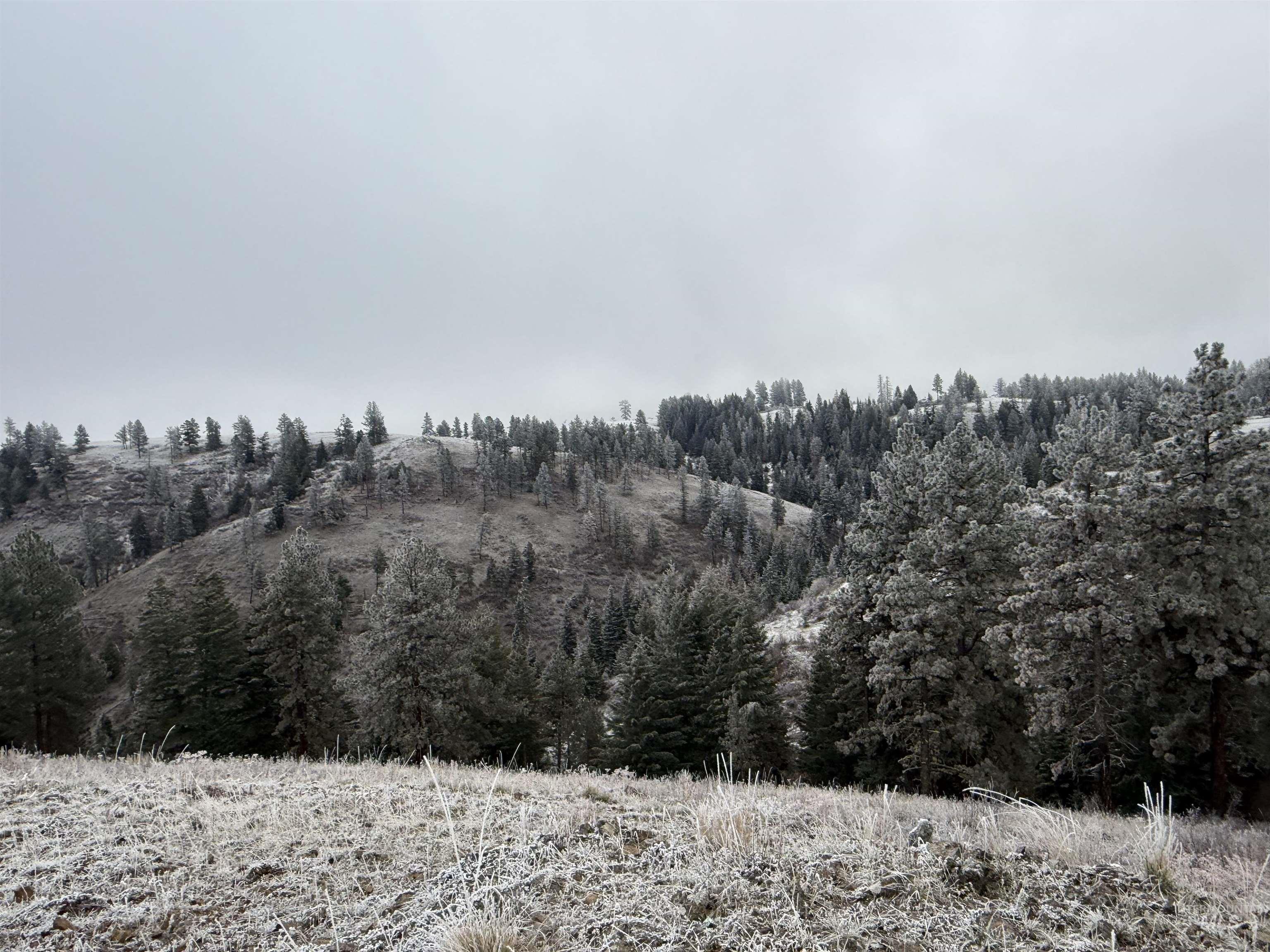 TBD Billy Creek Rd., CottonWood, Idaho 83522, Land For Sale, Price $1,280,000,MLS 98968827