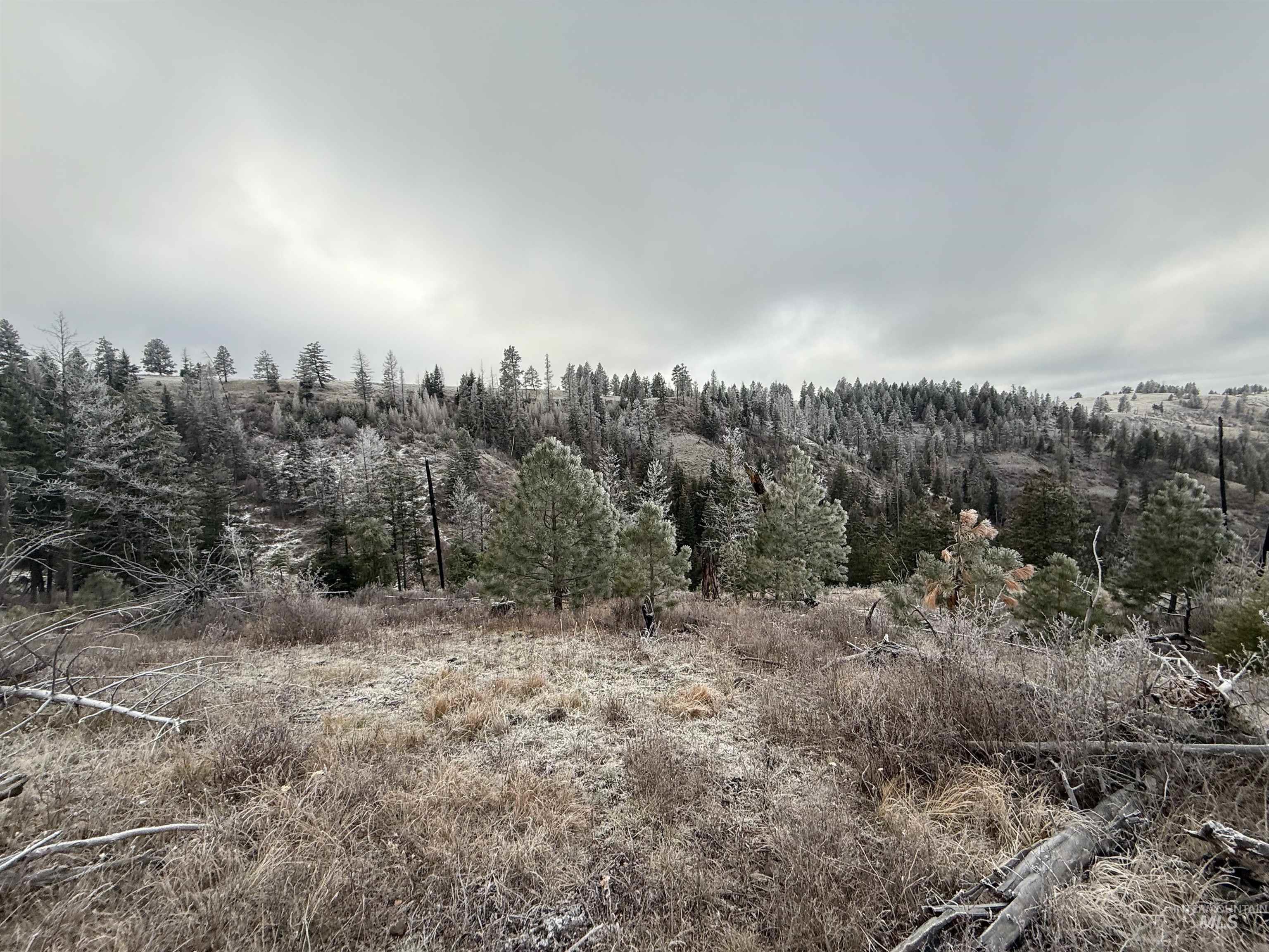 TBD Billy Creek Rd., CottonWood, Idaho 83522, Land For Sale, Price $1,280,000,MLS 98968827