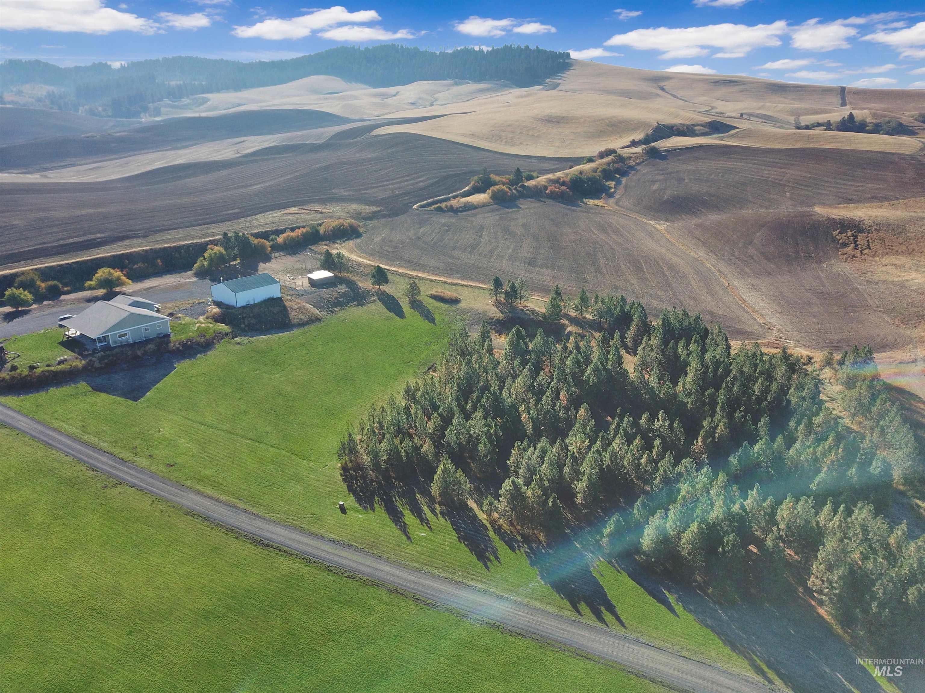 1030 Tempest Lane, Viola, Idaho 83872, 3 Bedrooms, 2 Bathrooms, Residential For Sale, Price $925,000,MLS 98968830