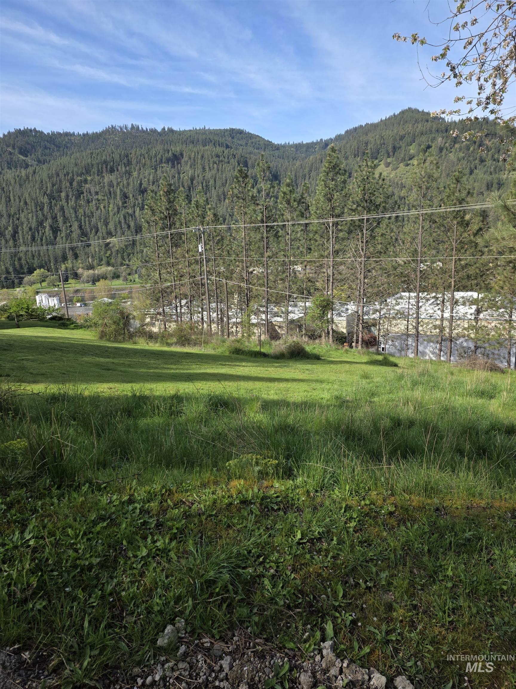 804 Pine Drive Heights, Orofino, Idaho 83544, 4 Bedrooms, 2 Bathrooms, Residential For Sale, Price $335,000, 98968892