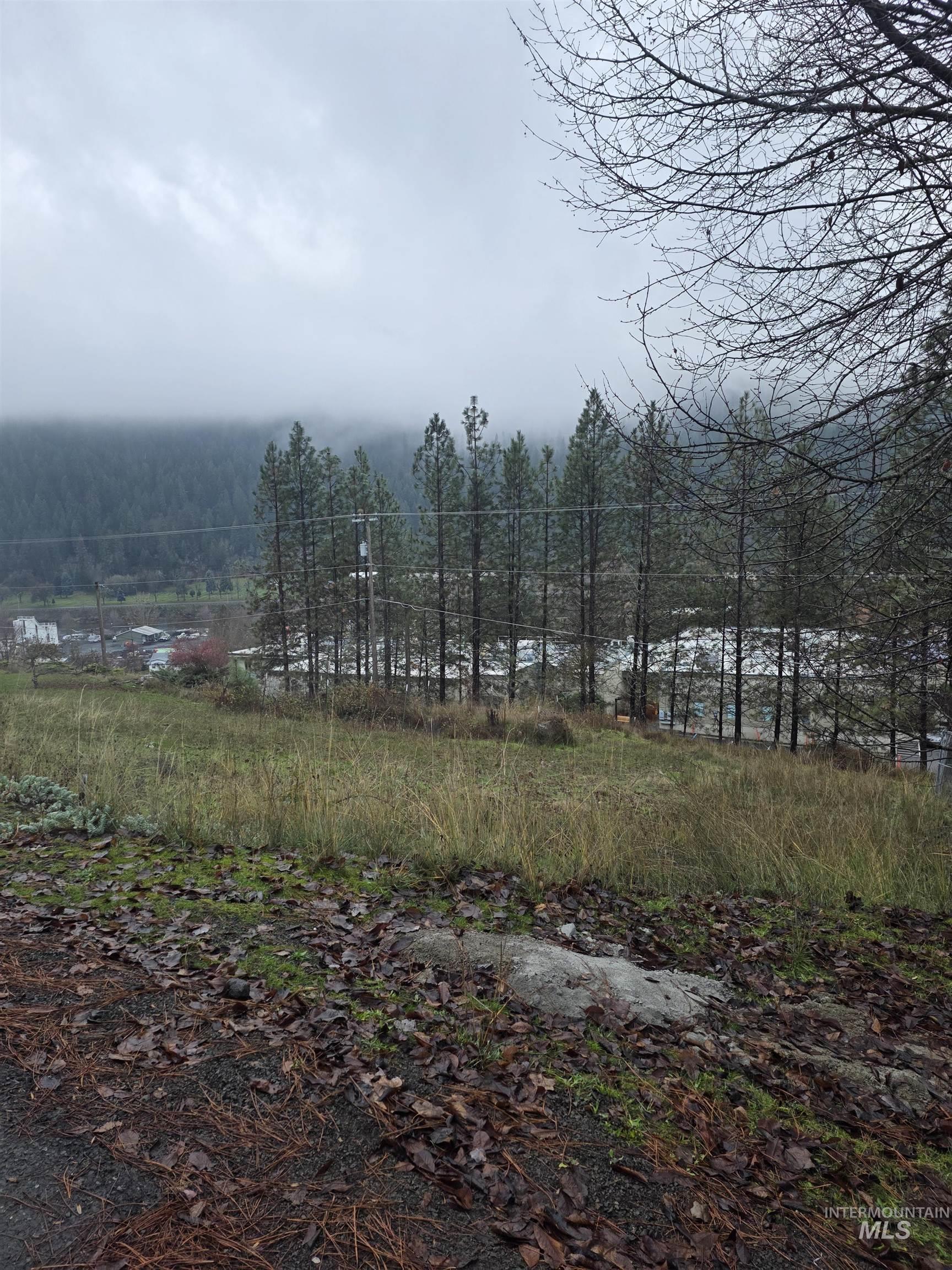 804 Pine Drive Heights, Orofino, Idaho 83544, 3 Bedrooms, 2 Bathrooms, Residential For Sale, Price $349,000,MLS 98968892