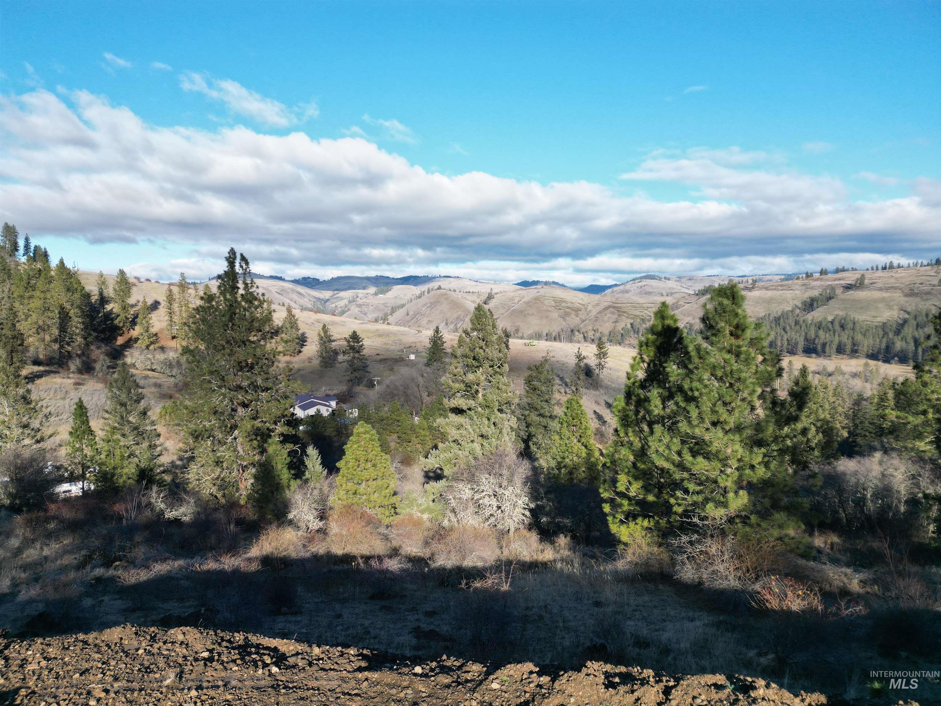 TBD Canyon Road, Kooskia, Idaho 83539, Land For Sale, Price $110,000,MLS 98968942