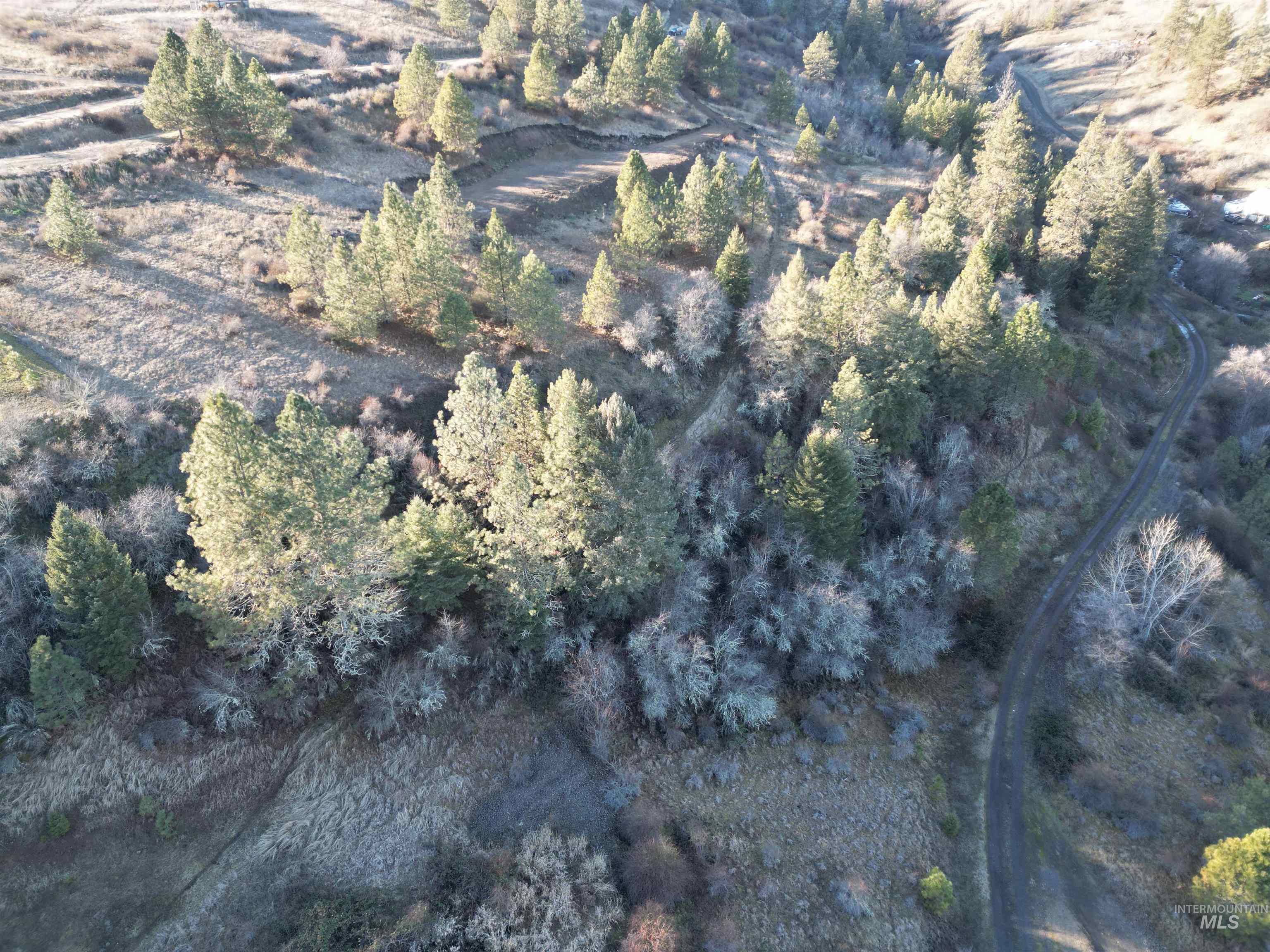 TBD Canyon Road, Kooskia, Idaho 83539, Land For Sale, Price $110,000,MLS 98968942