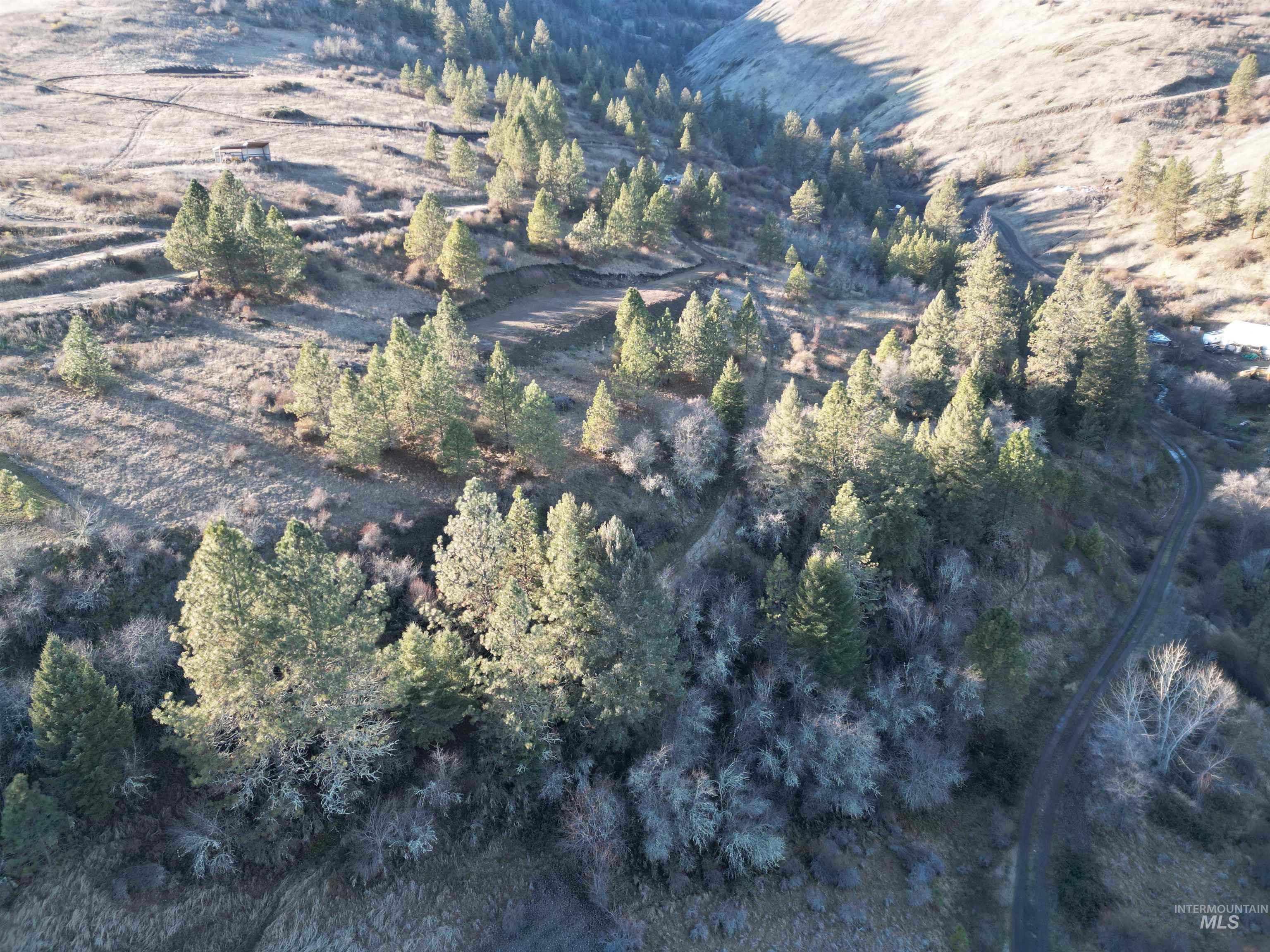 TBD Canyon Road, Kooskia, Idaho 83539, Land For Sale, Price $110,000,MLS 98968942