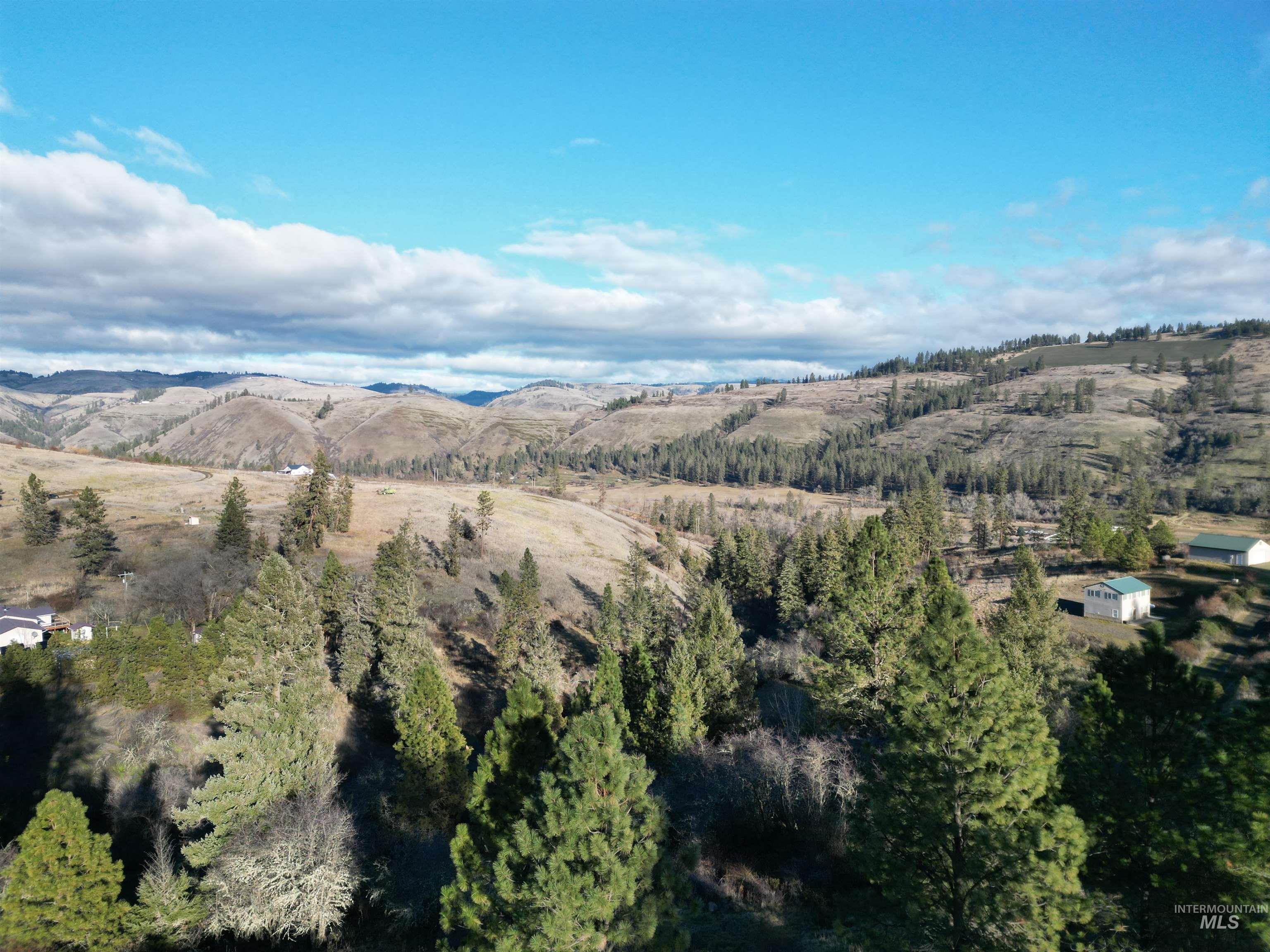 TBD Canyon Road, Kooskia, Idaho 83539, Land For Sale, Price $110,000,MLS 98968942