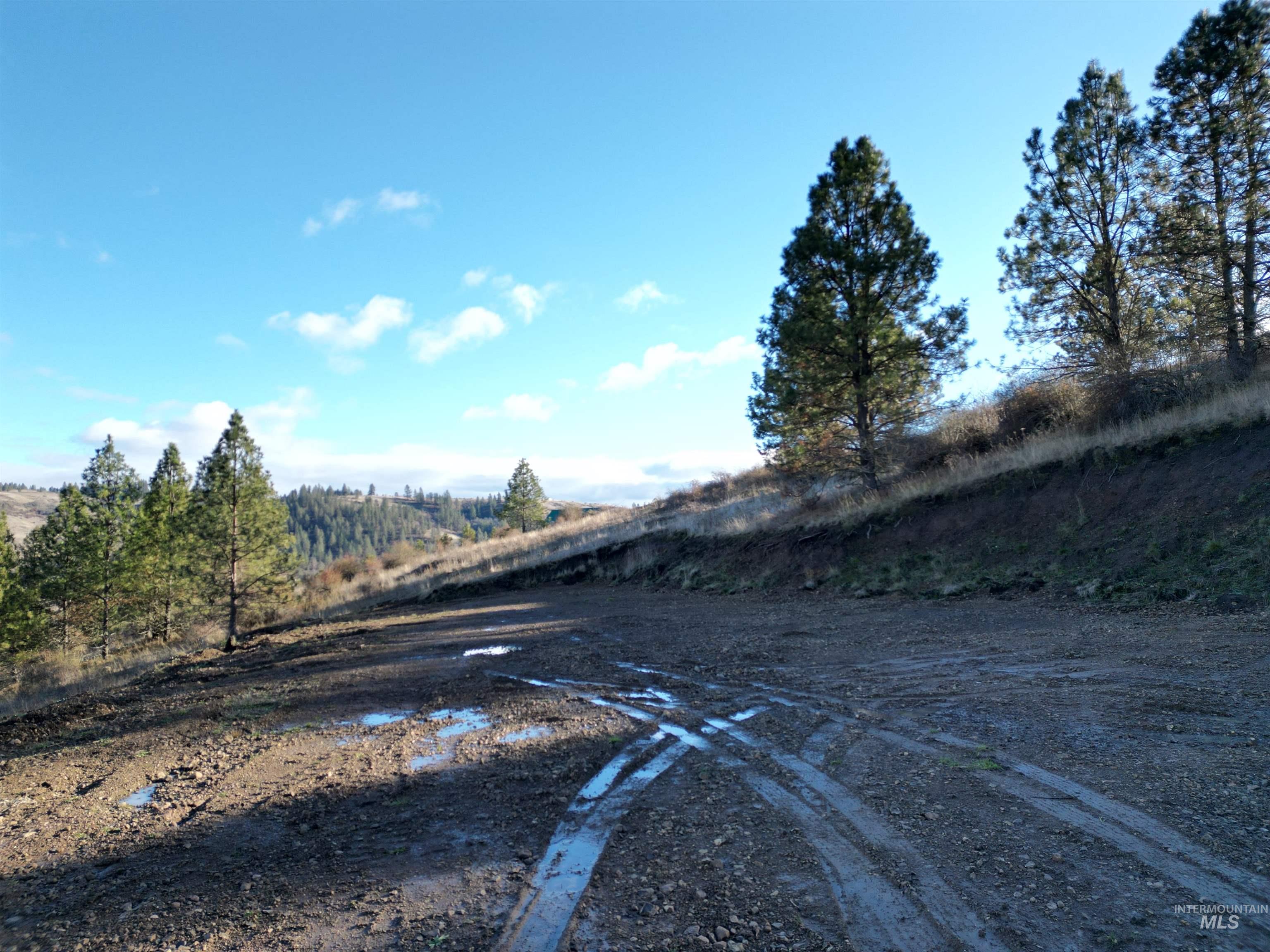 TBD Canyon Road, Kooskia, Idaho 83539, Land For Sale, Price $110,000,MLS 98968942