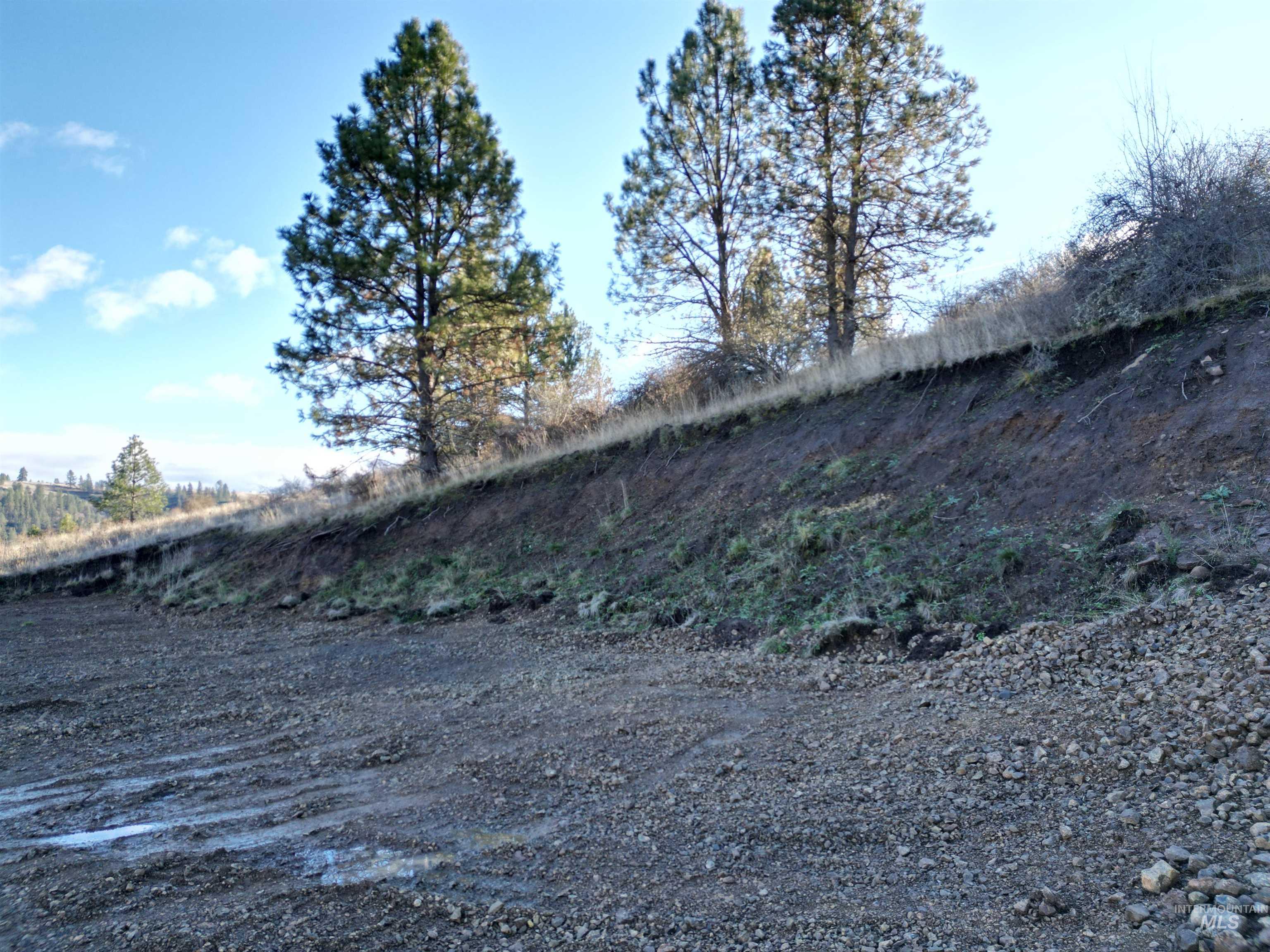 TBD Canyon Road, Kooskia, Idaho 83539, Land For Sale, Price $110,000,MLS 98968942