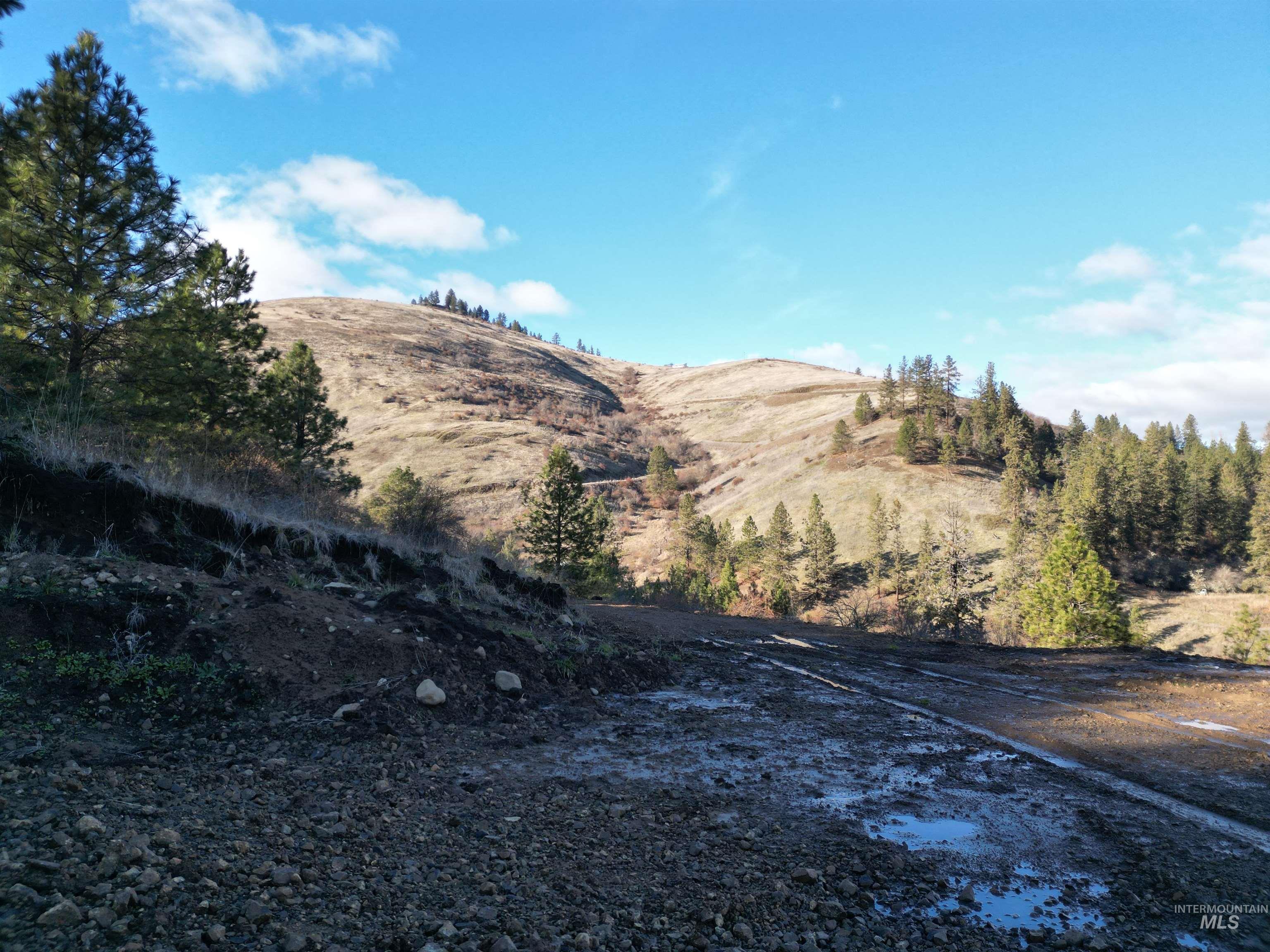 TBD Canyon Road, Kooskia, Idaho 83539, Land For Sale, Price $110,000,MLS 98968942