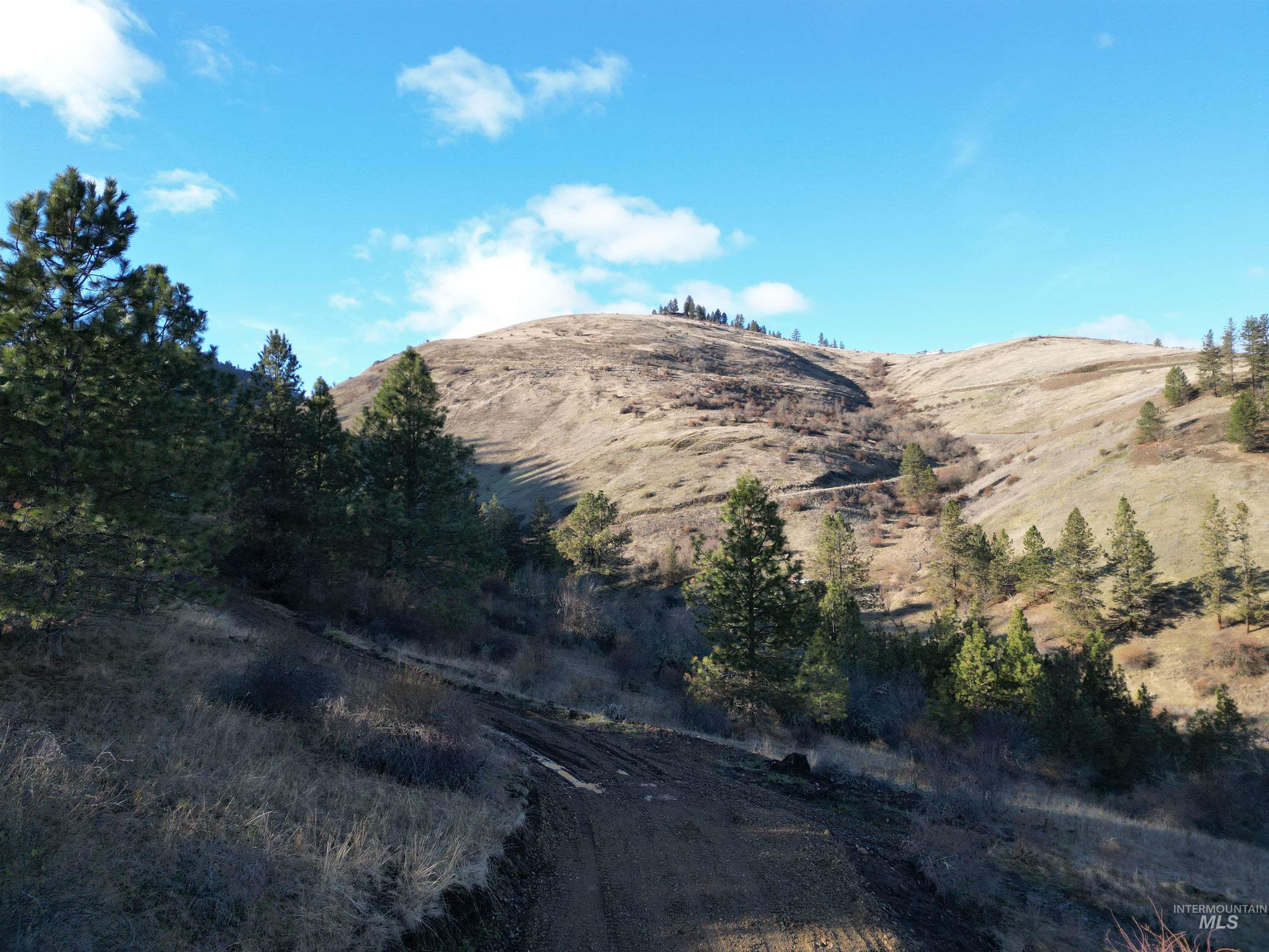 TBD Canyon Road, Kooskia, Idaho 83539, Land For Sale, Price $110,000,MLS 98968942