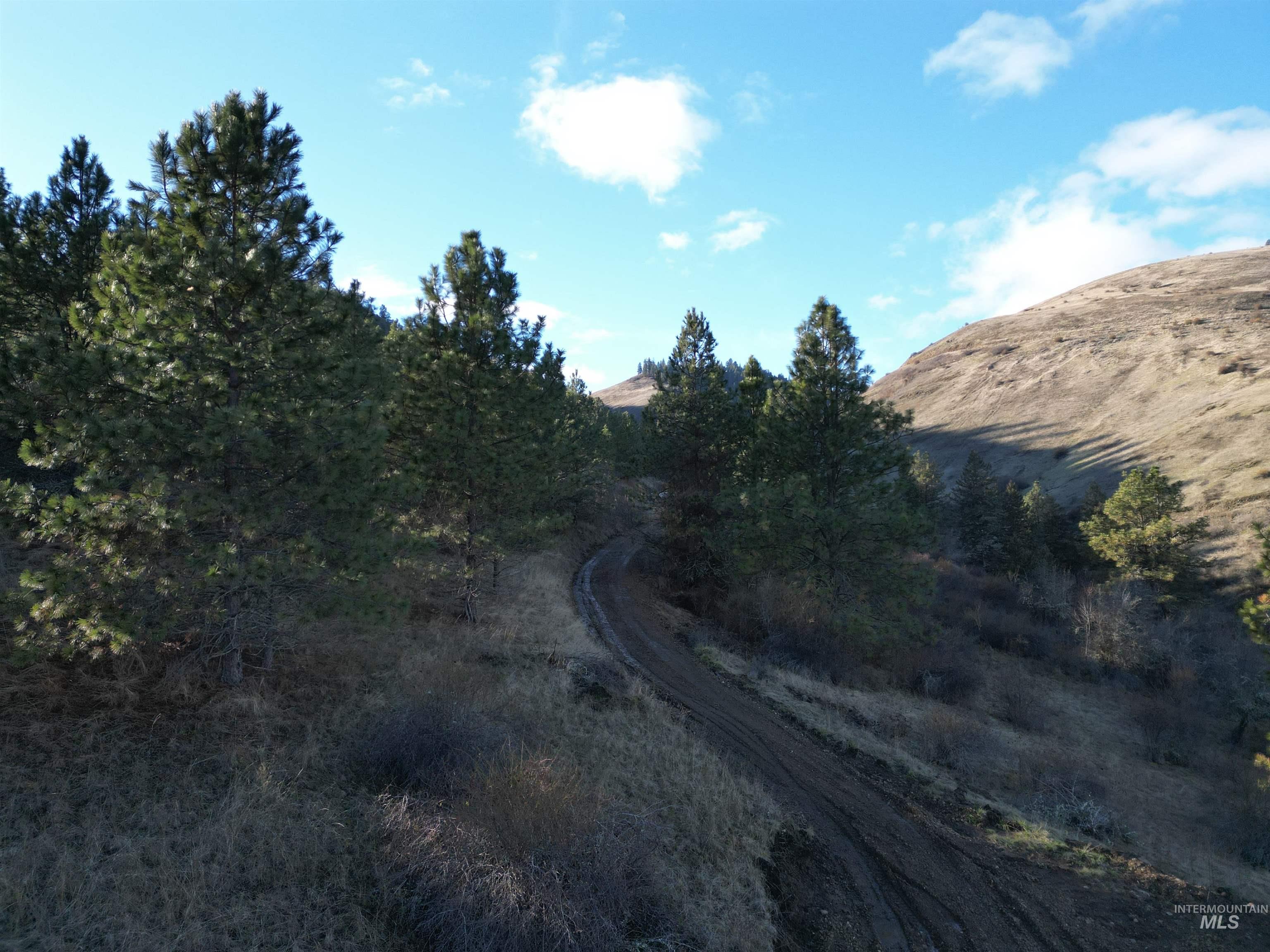 TBD Canyon Road, Kooskia, Idaho 83539, Land For Sale, Price $110,000,MLS 98968942
