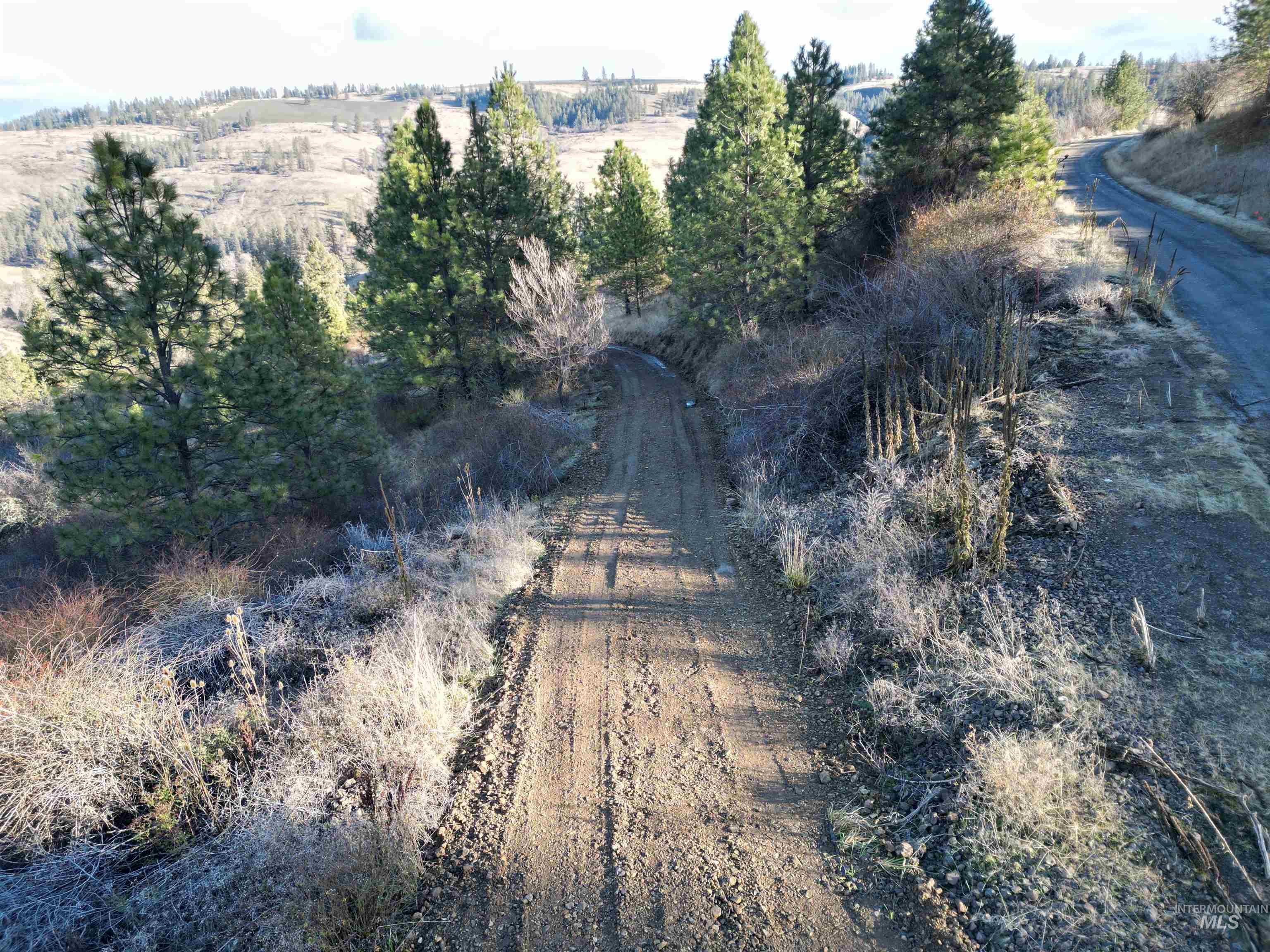 TBD Canyon Road, Kooskia, Idaho 83539, Land For Sale, Price $110,000,MLS 98968942