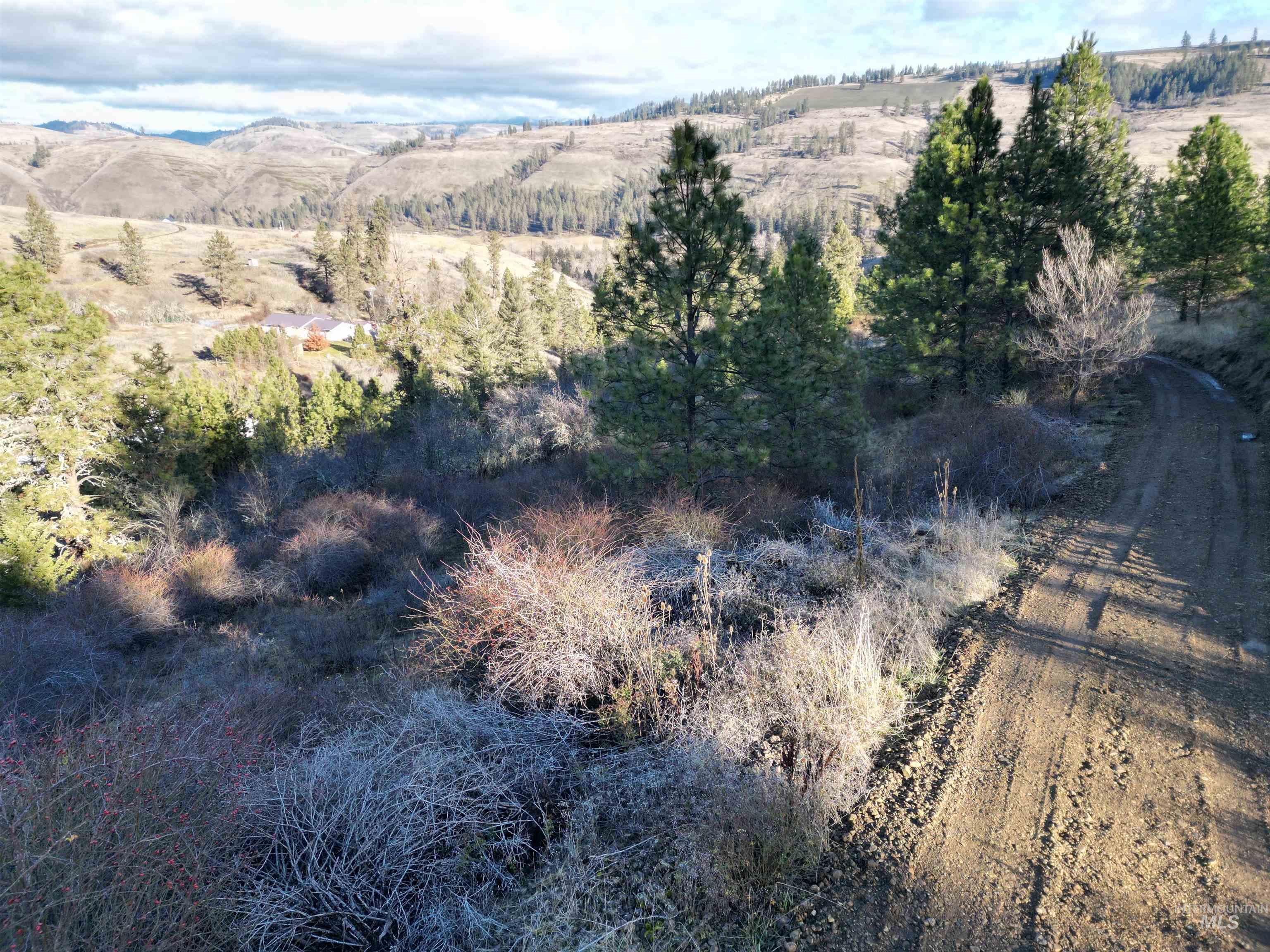 TBD Canyon Road, Kooskia, Idaho 83539, Land For Sale, Price $110,000,MLS 98968942