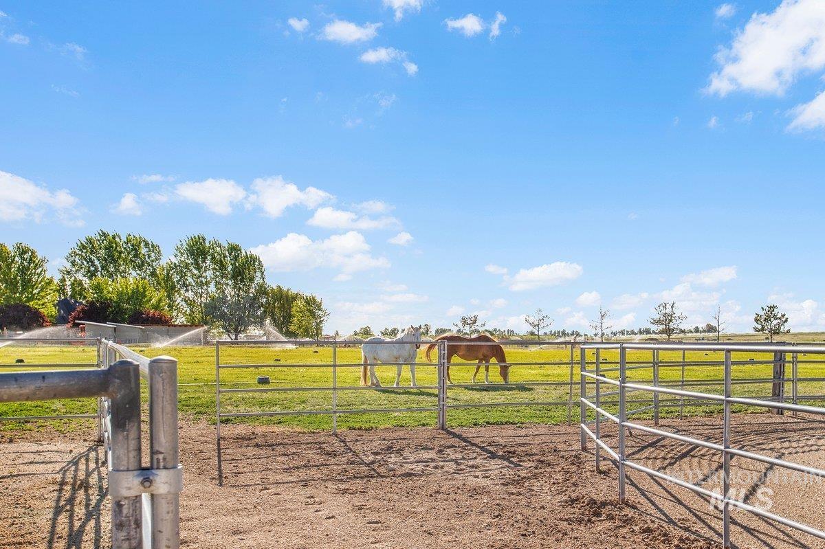 12195 S Hawk Haven Ave, Kuna, Idaho 83634-2601, 4 Bedrooms, 3 Bathrooms, Residential For Sale, Price $1,250,000,MLS 98968988