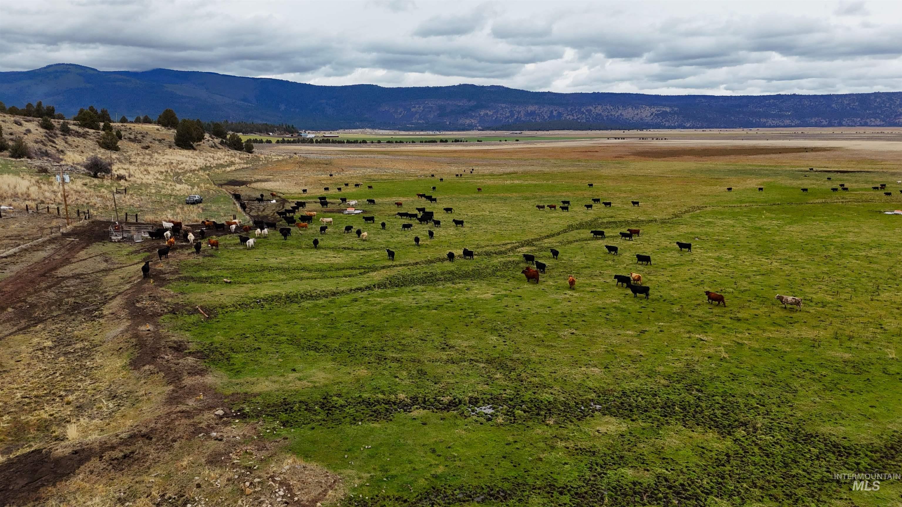 TBD TBD, Klamath Falls, Oregon 97601, Land For Sale, Price $3,500,000, 98969013