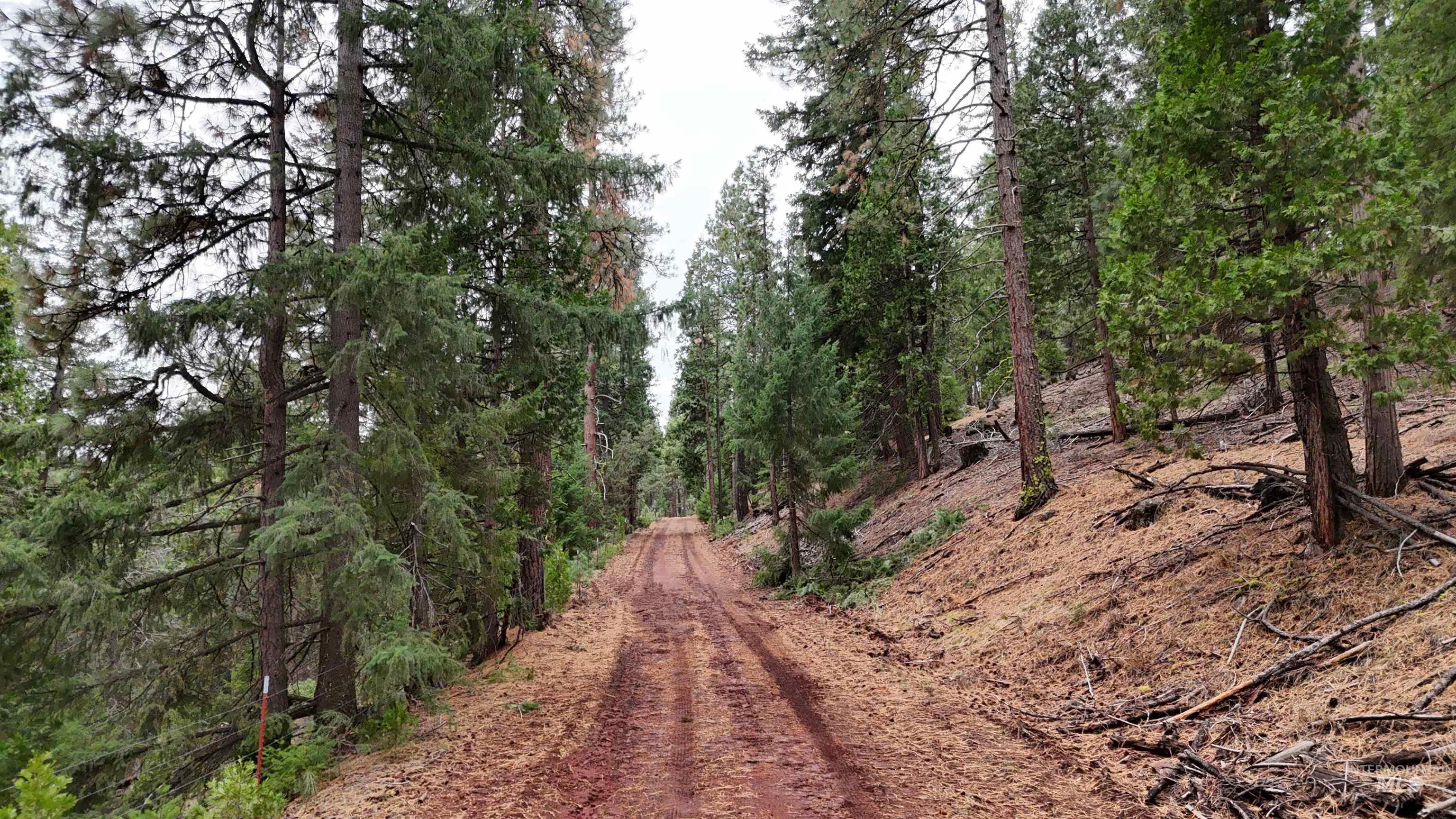 TBD TBD, Klamath Falls, Oregon 97601, Land For Sale, Price $3,500,000, 98969013