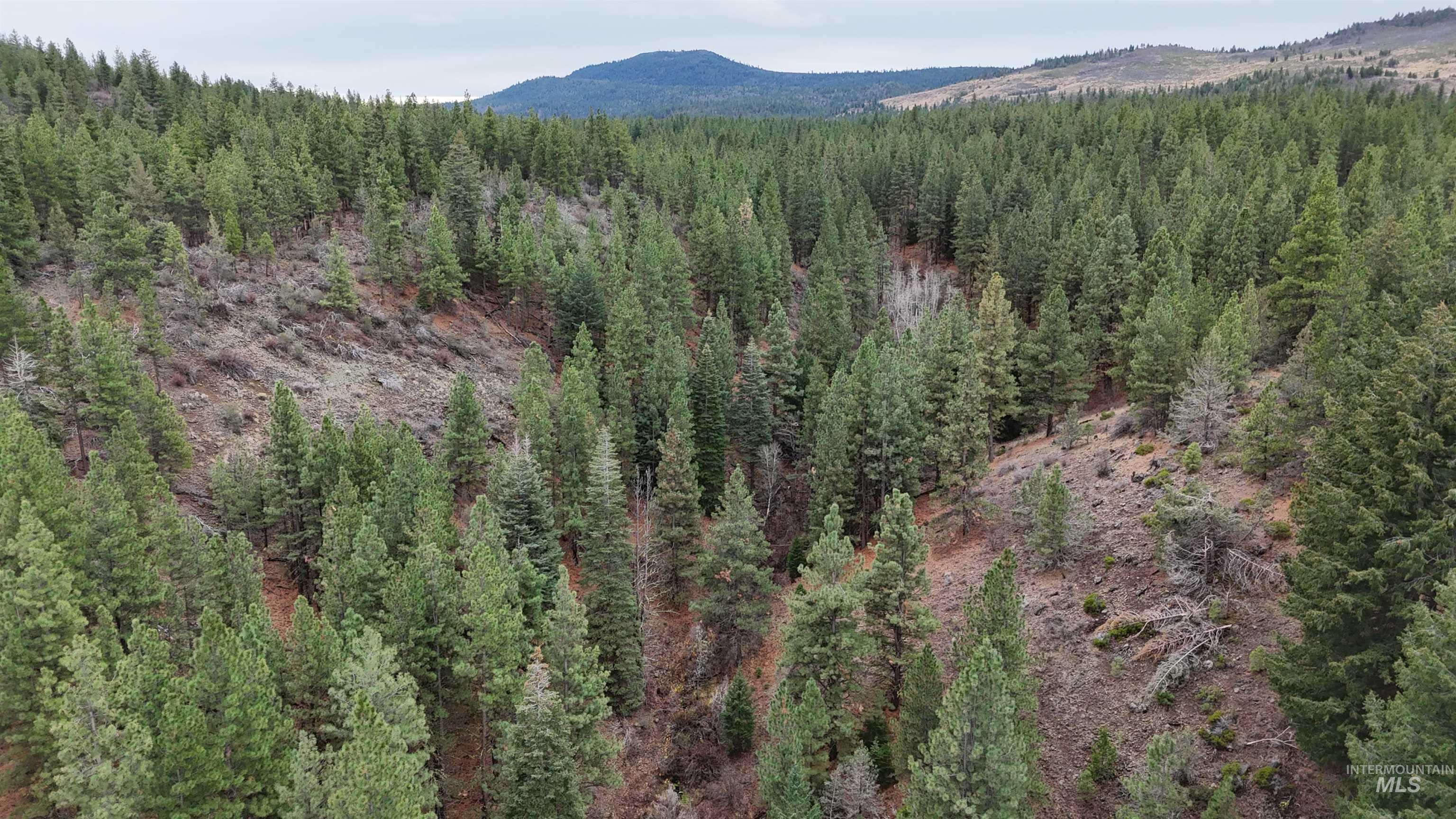 TBD TBD, Klamath Falls, Oregon 97601, Land For Sale, Price $3,500,000, 98969013