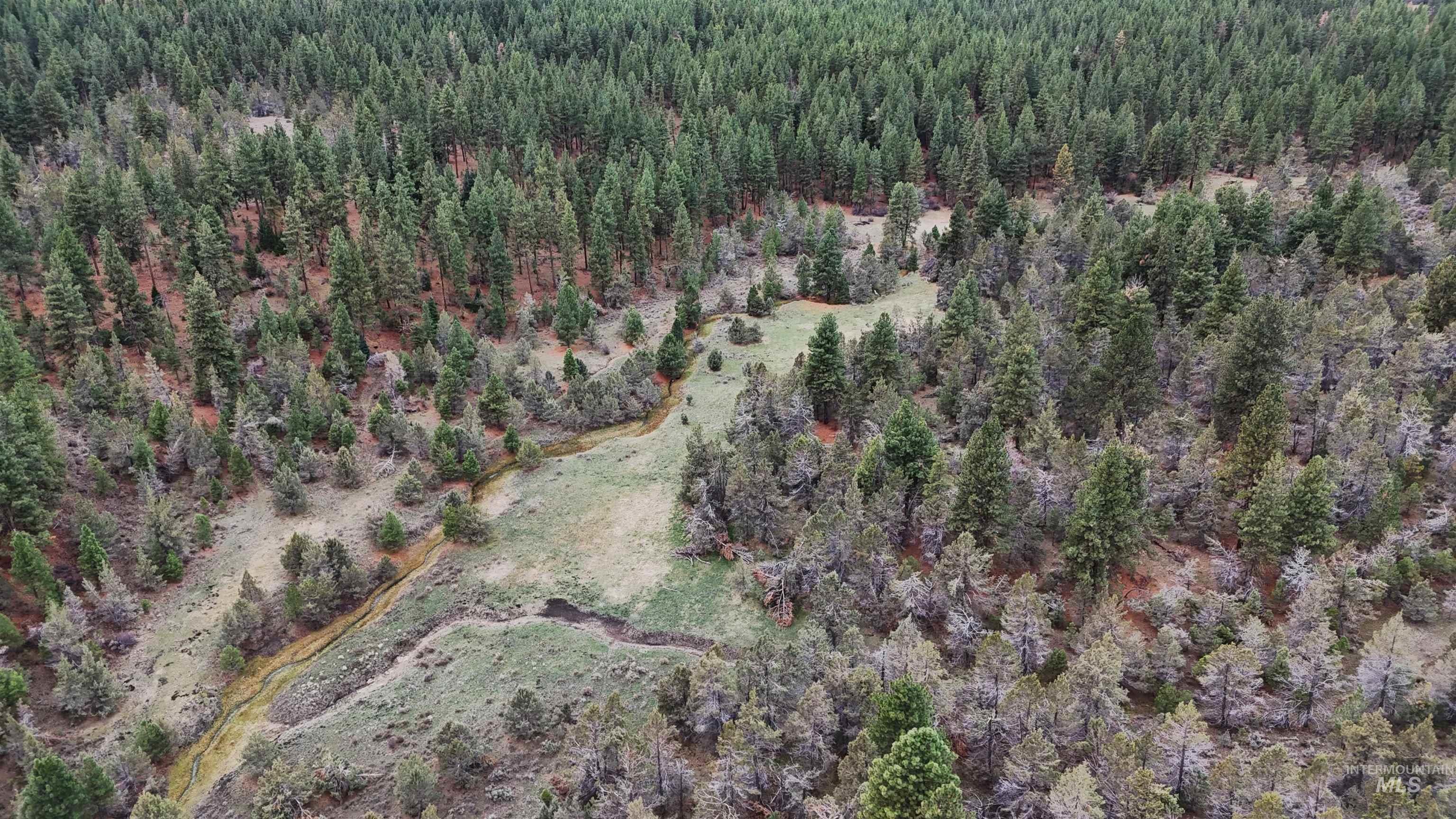 TBD TBD, Klamath Falls, Oregon 97601, Land For Sale, Price $3,500,000, 98969013